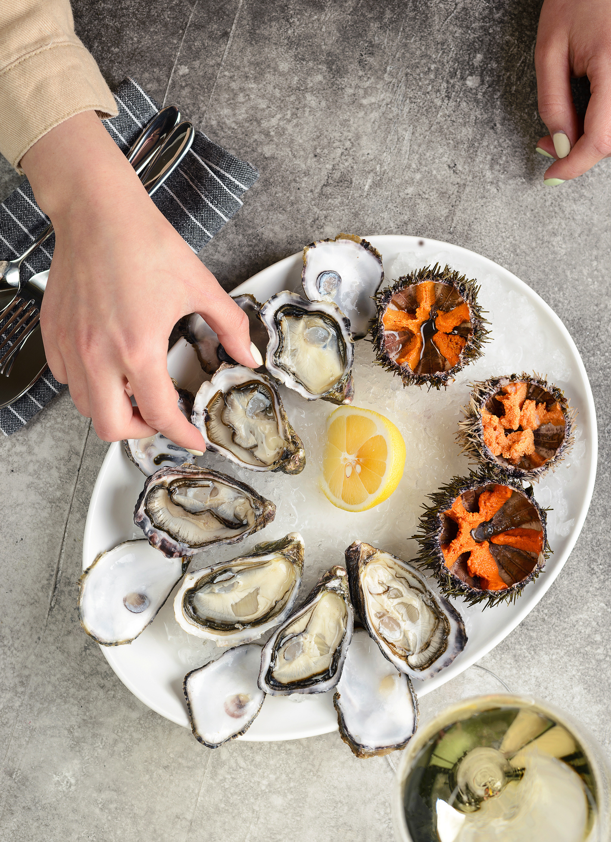 Устрицы и морские ежи