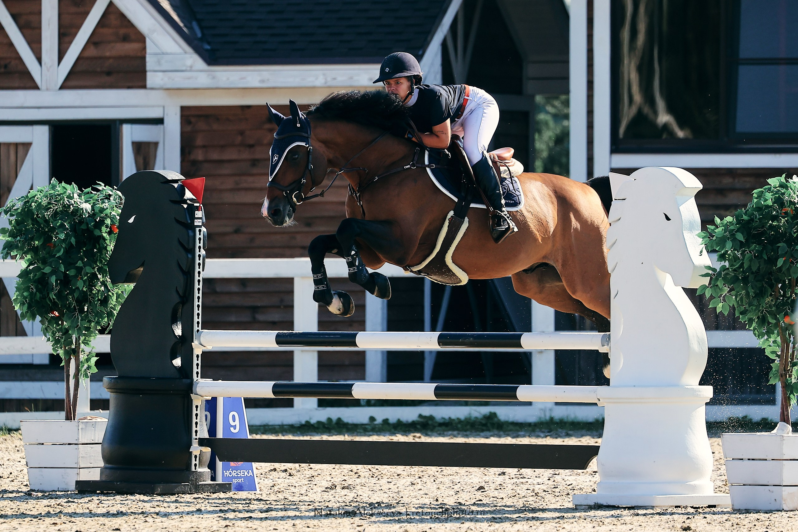 Лично-Командный ЧР по конкуру, КСК Horseka | 08'2023. Репортажный фотограф и ретушер в Москве Наталья Алексеева