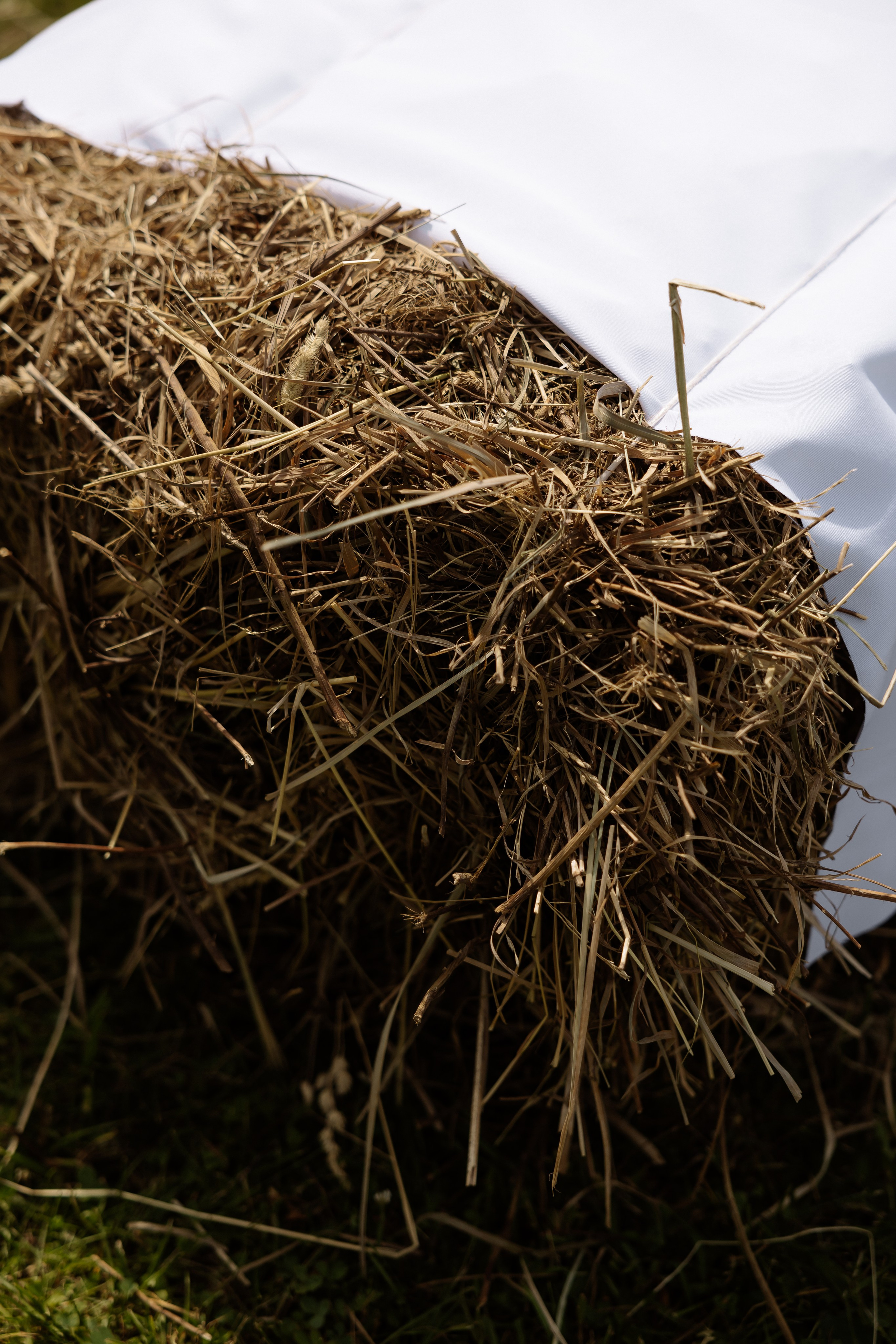 Владислав & Виктория. RETOUCH-HOUSE