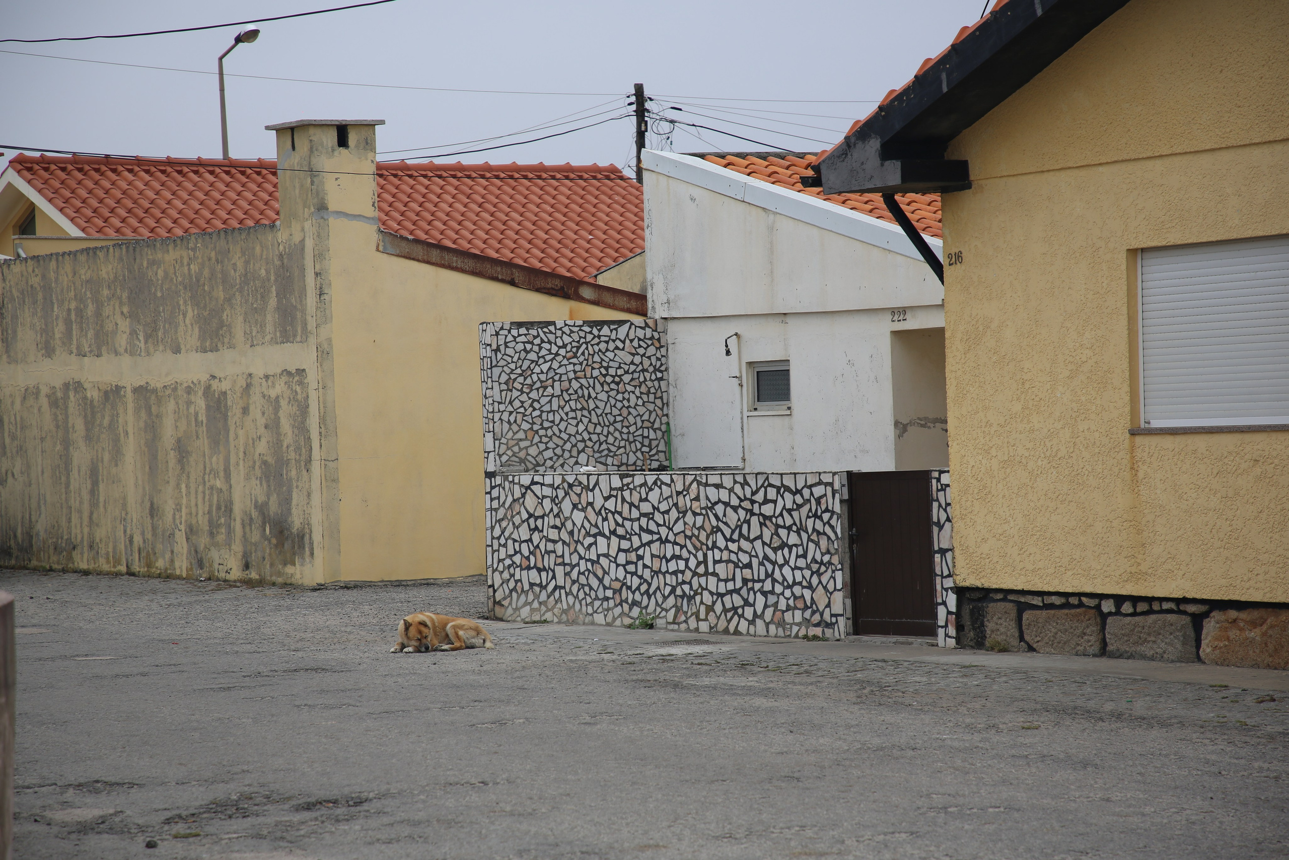 Esmoriz, Portugal. Andrey Filippov Photographer