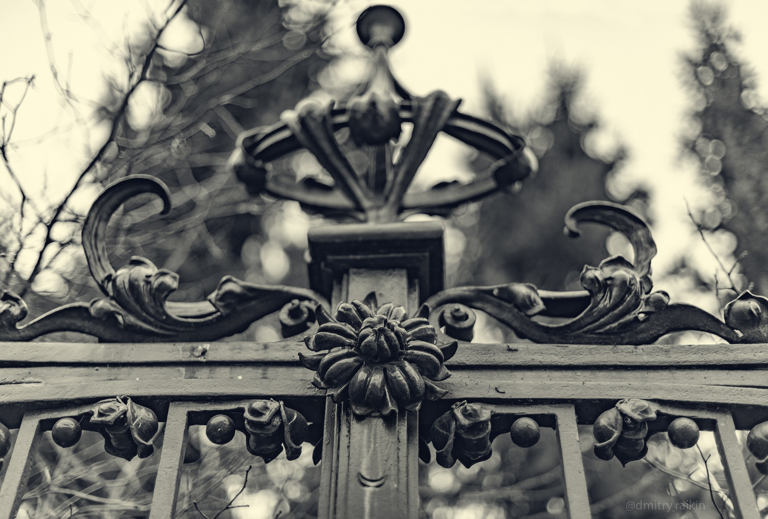 SAINT PETERSBURG. Personal website of photographer Dmitry Raikin