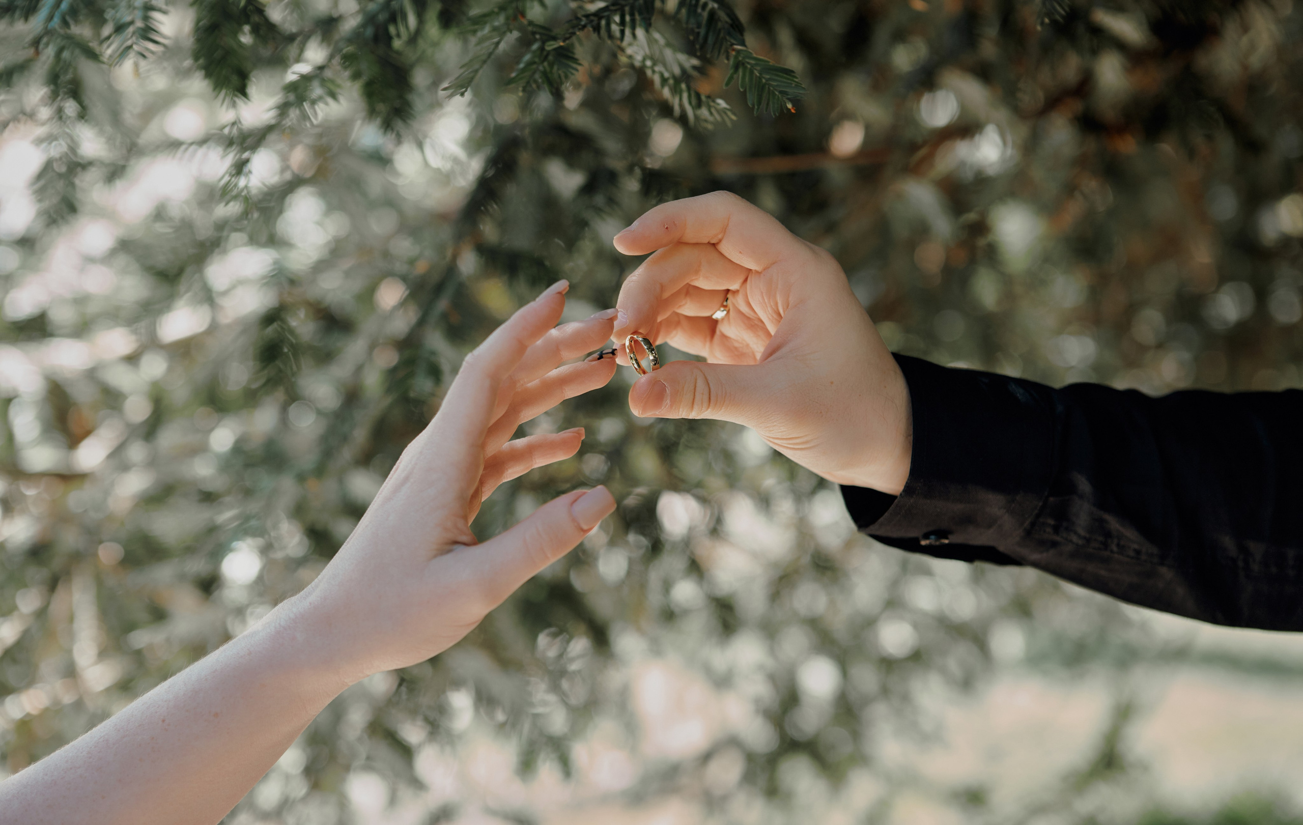 Евгений и Алёна. Свадебный и семейный фотограф в Сочи-Красной поляне Ларионова Анна