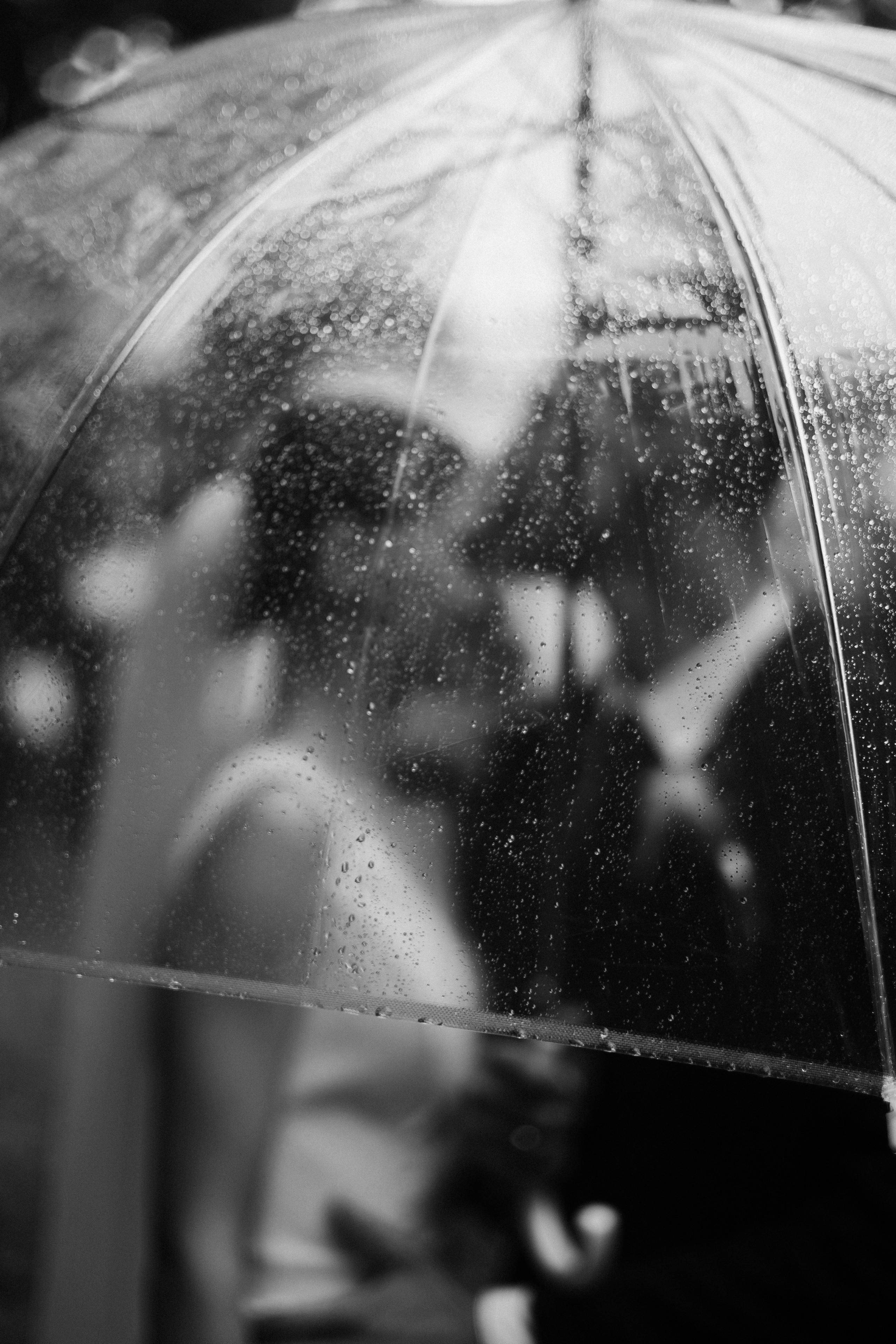 Ольга&Владислав. Фотограф в г. Благовещенск, свадебные, семейные и индивидуальные