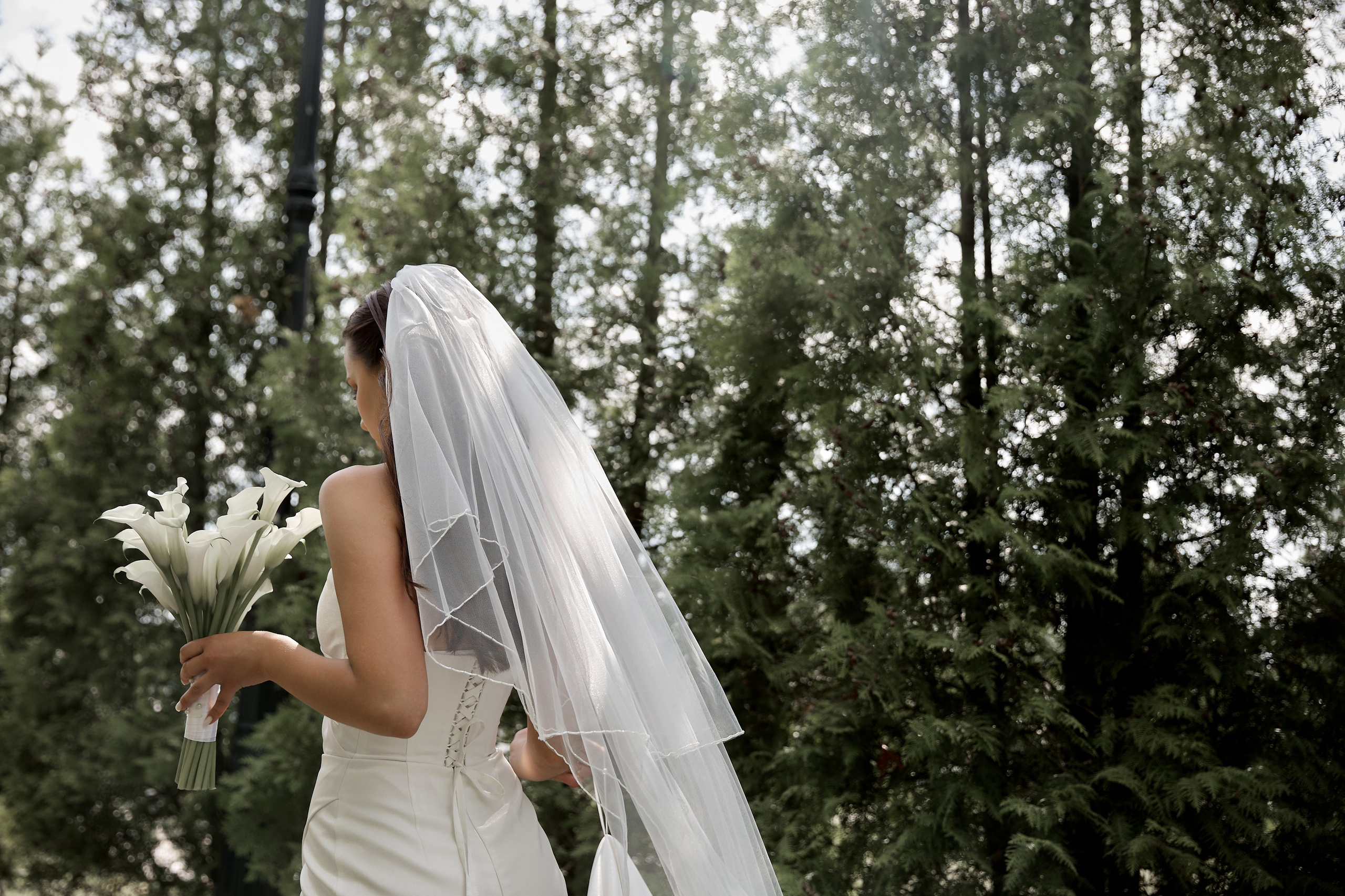 Алина и Владимир. Свадебный фотограф Москва Калуга