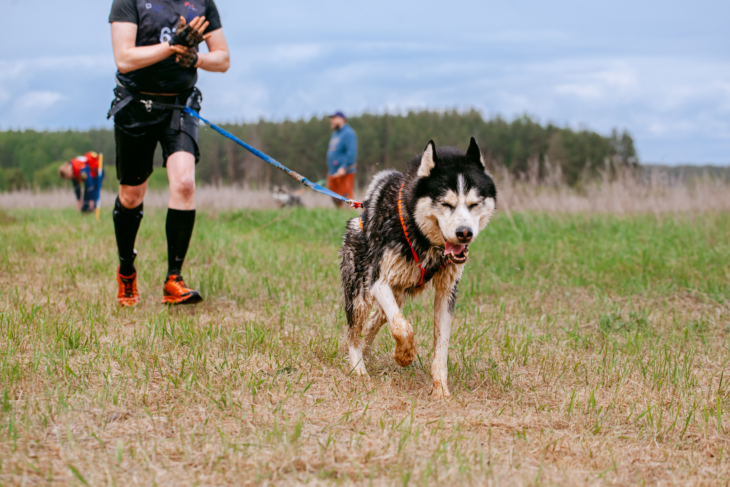 Русский экстрим кросс в Рязанской области 17.05.2025. Фотограф-анималист Татьяна Степанова