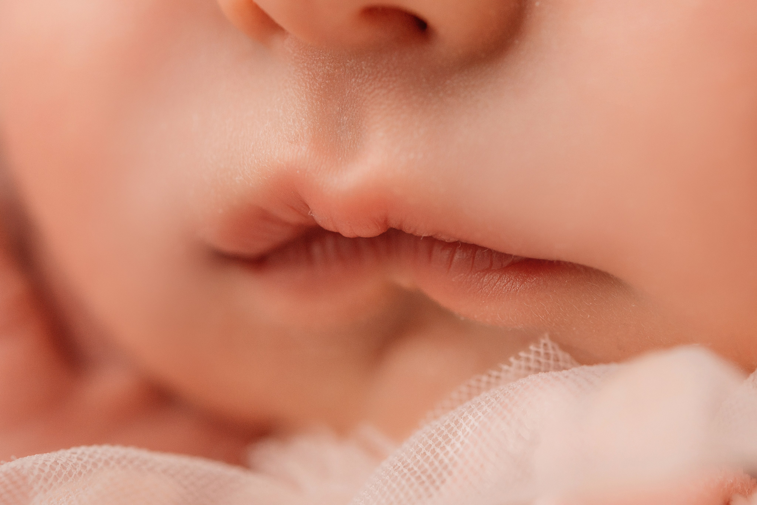 Ева. Фотограф новорожденных Белгород