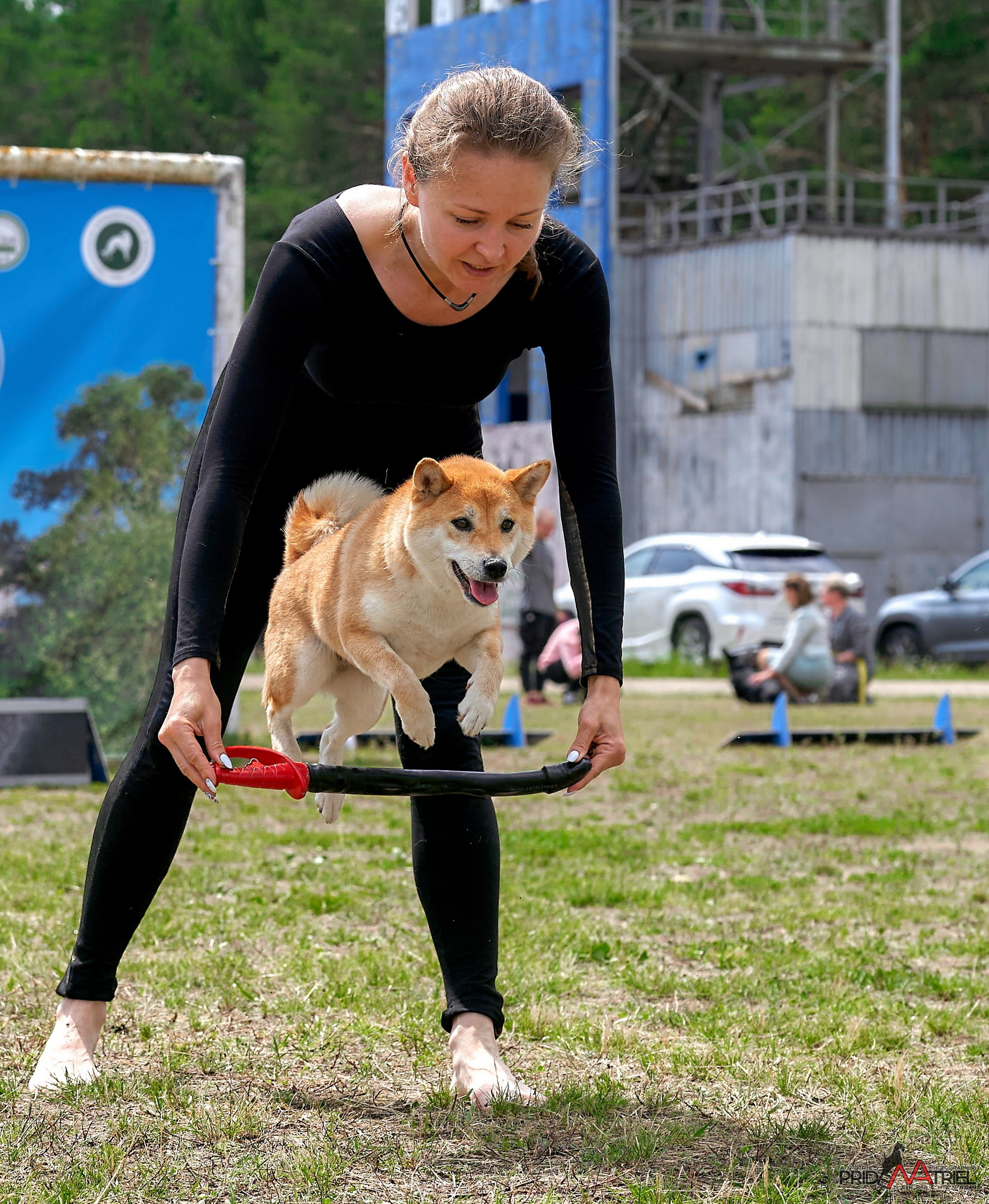 Обидиенс и танцы с собаками — галерея NATRIEL