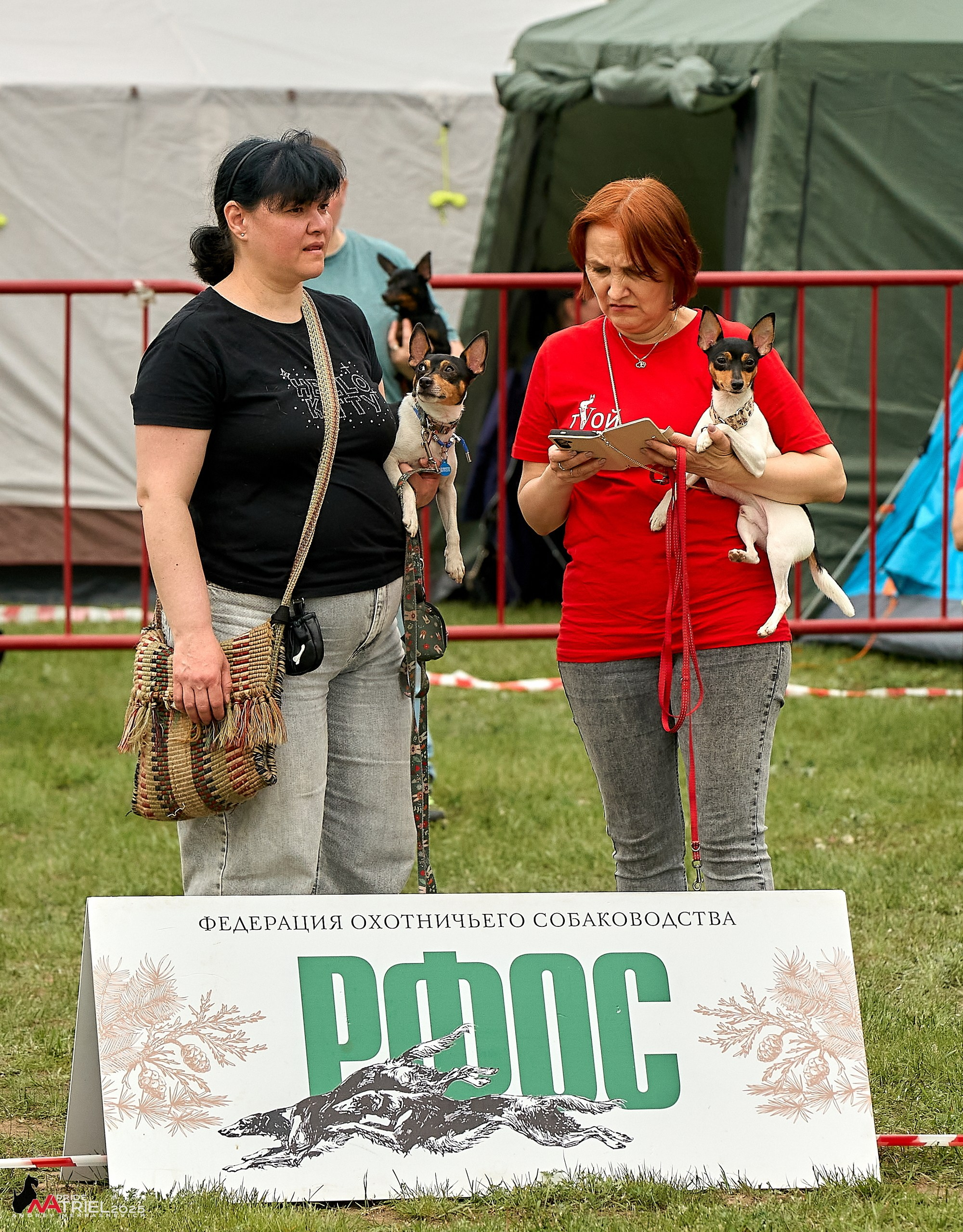 Выставка собак Суздаль-Владимир