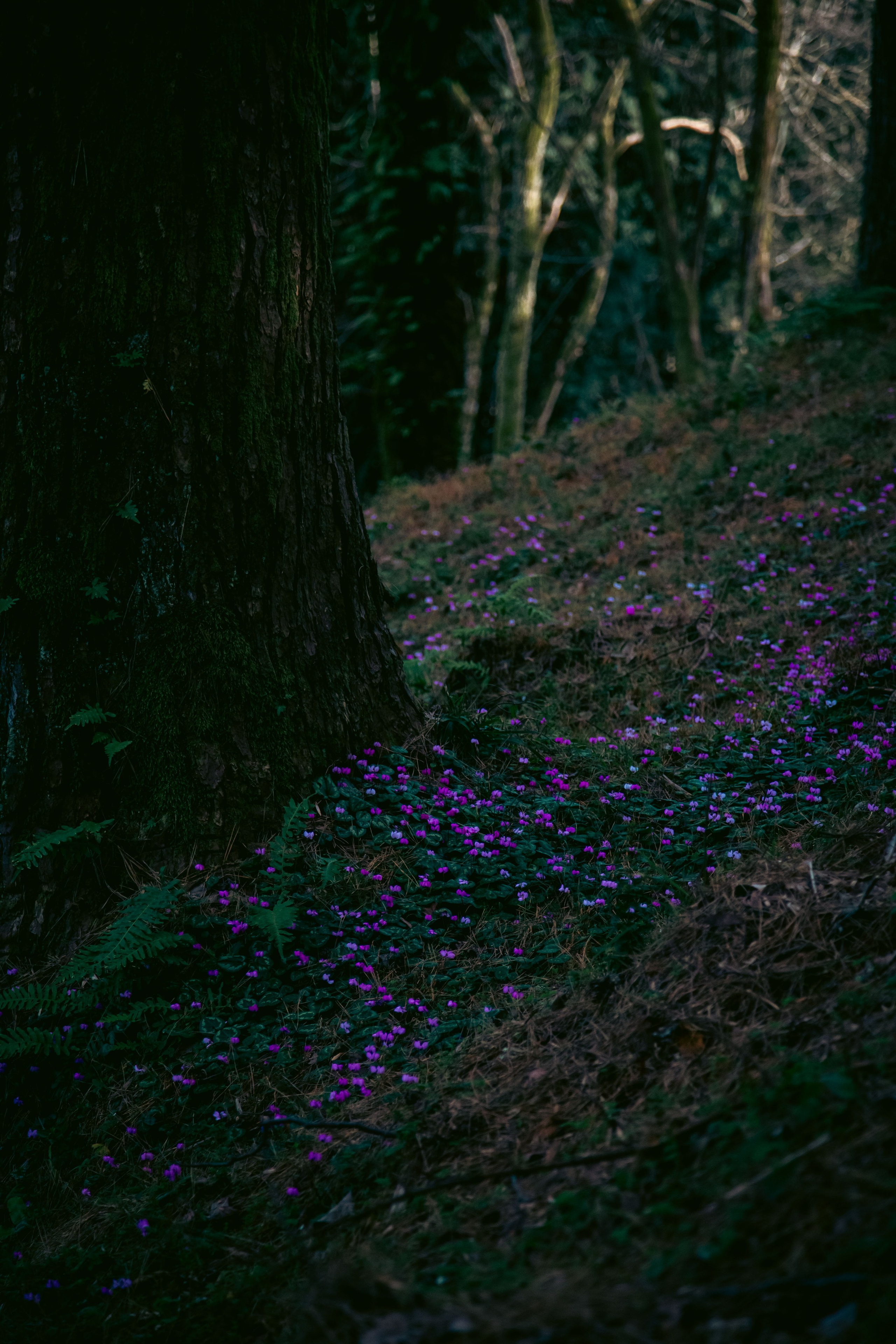 Batumi. Dmitriy [KCCC] is a pretty cool photographer