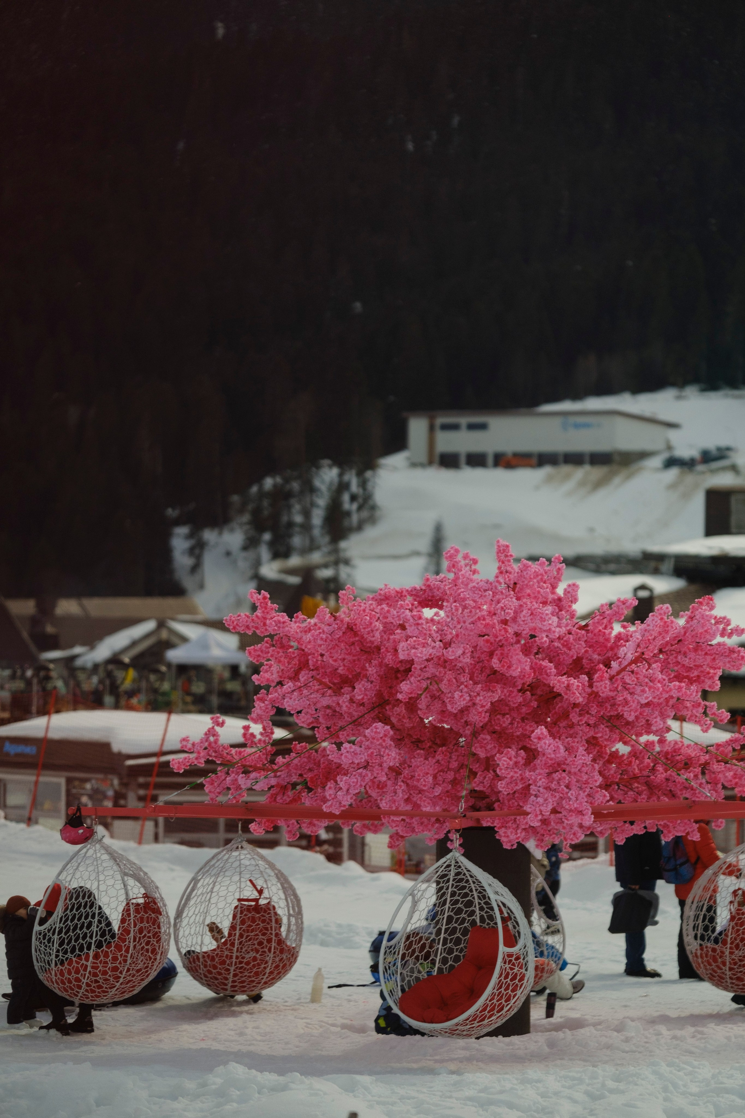 Архыз 9-11 02 24. Главная