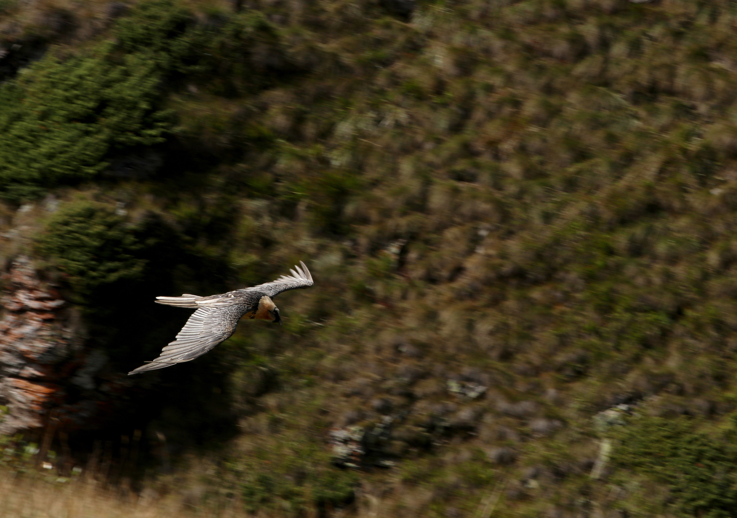Приэльбрусье. Сентябрь 2024. Путешественник-фотограф из Санкт-Петербурга Татьяна Свистулина