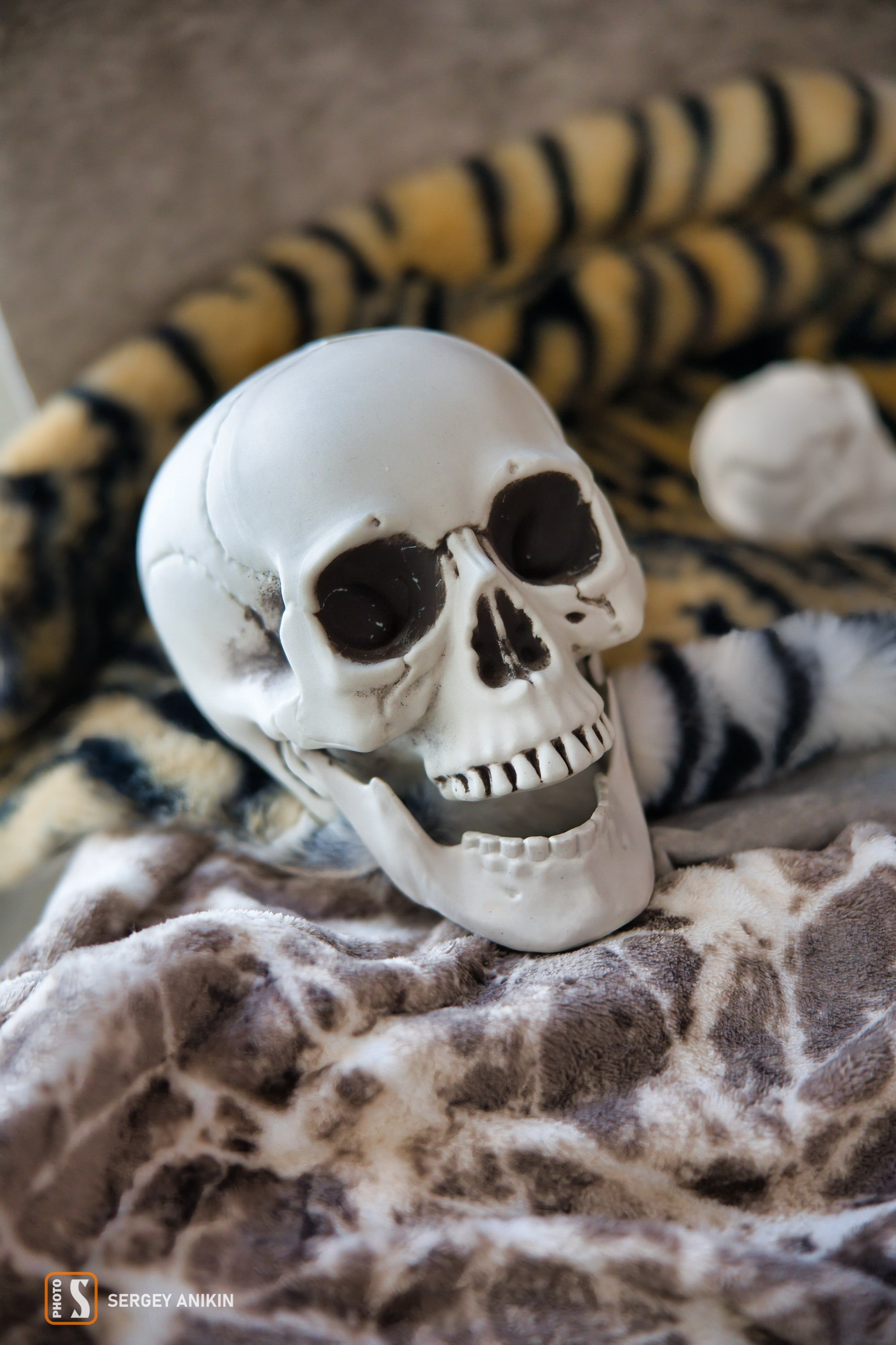 Фоторепортаж с фестиваля Alia Fest 2025 в Москве