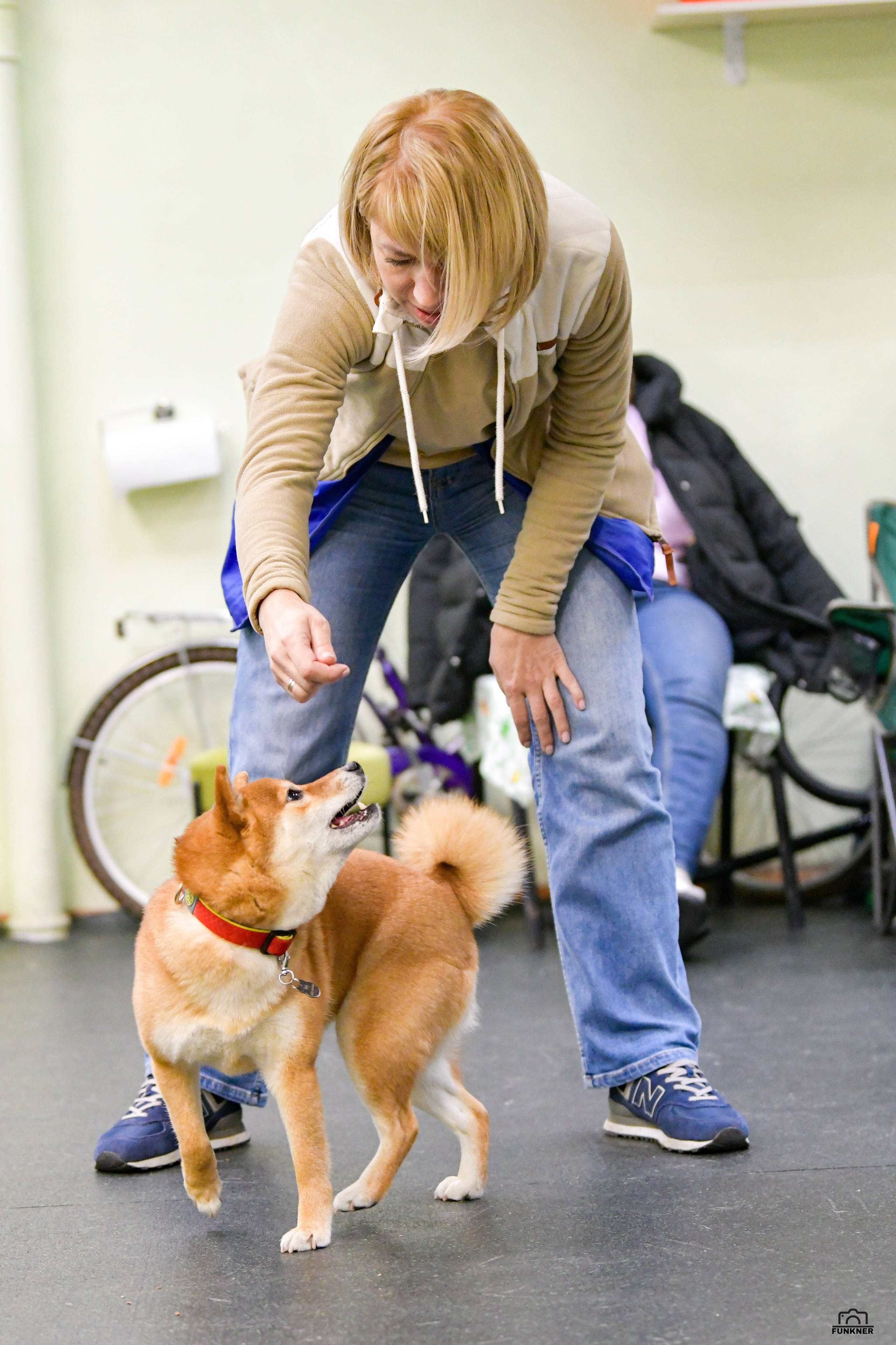 Кинологический клуб «Бодрый хвост». Свой взгляд через объектив