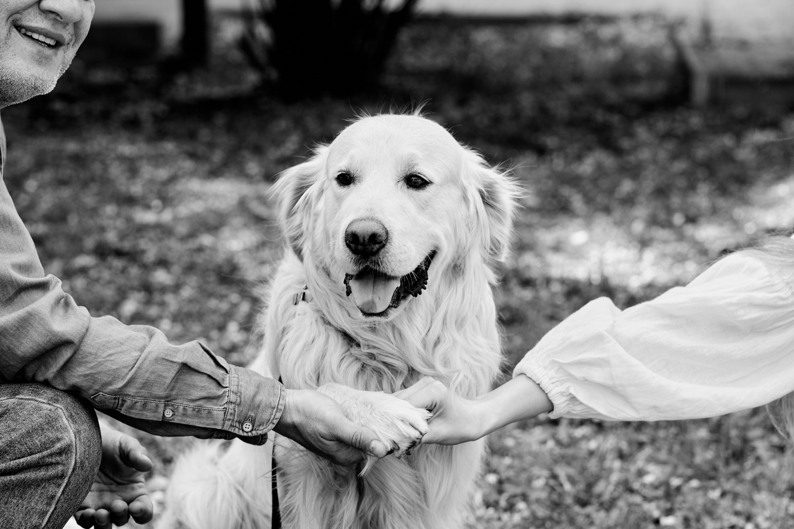 Семейная фотосессия в парке им. Горького. Фотограф Таганрог Анна Трайжон
