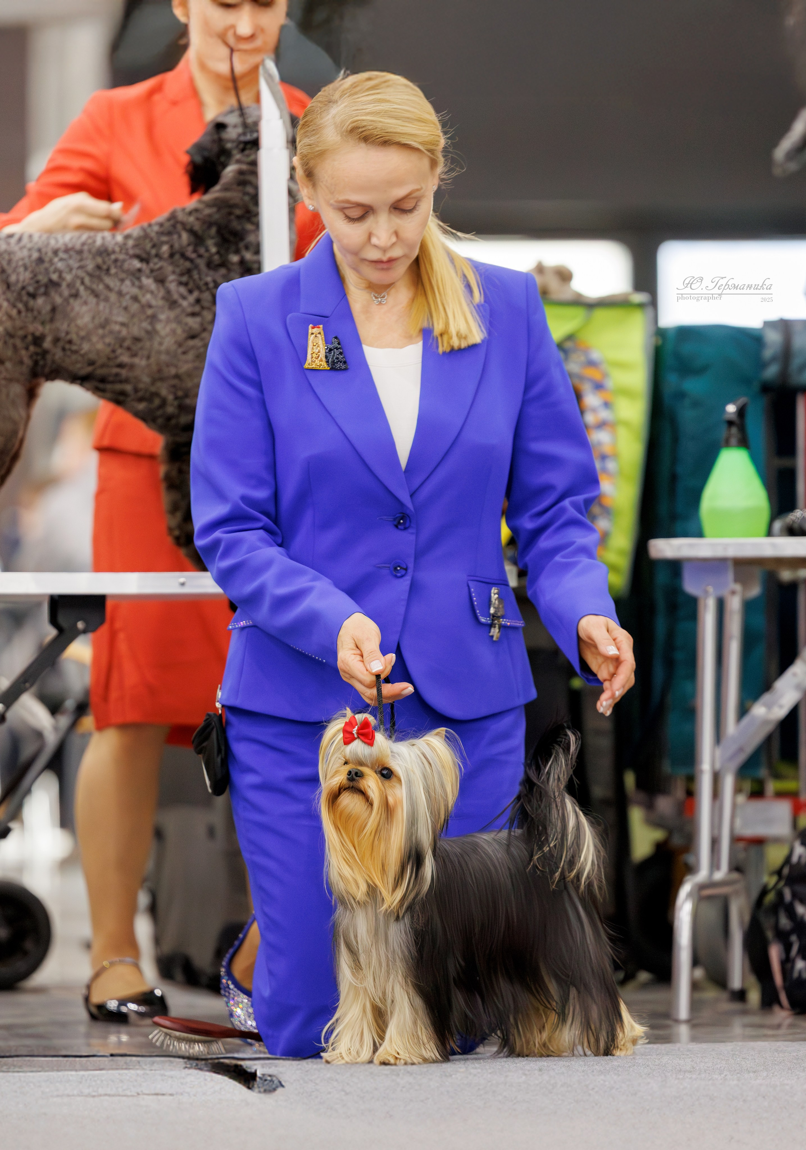 Питер 12-13.12.2025. Фотограф-анималист Юлия Германика