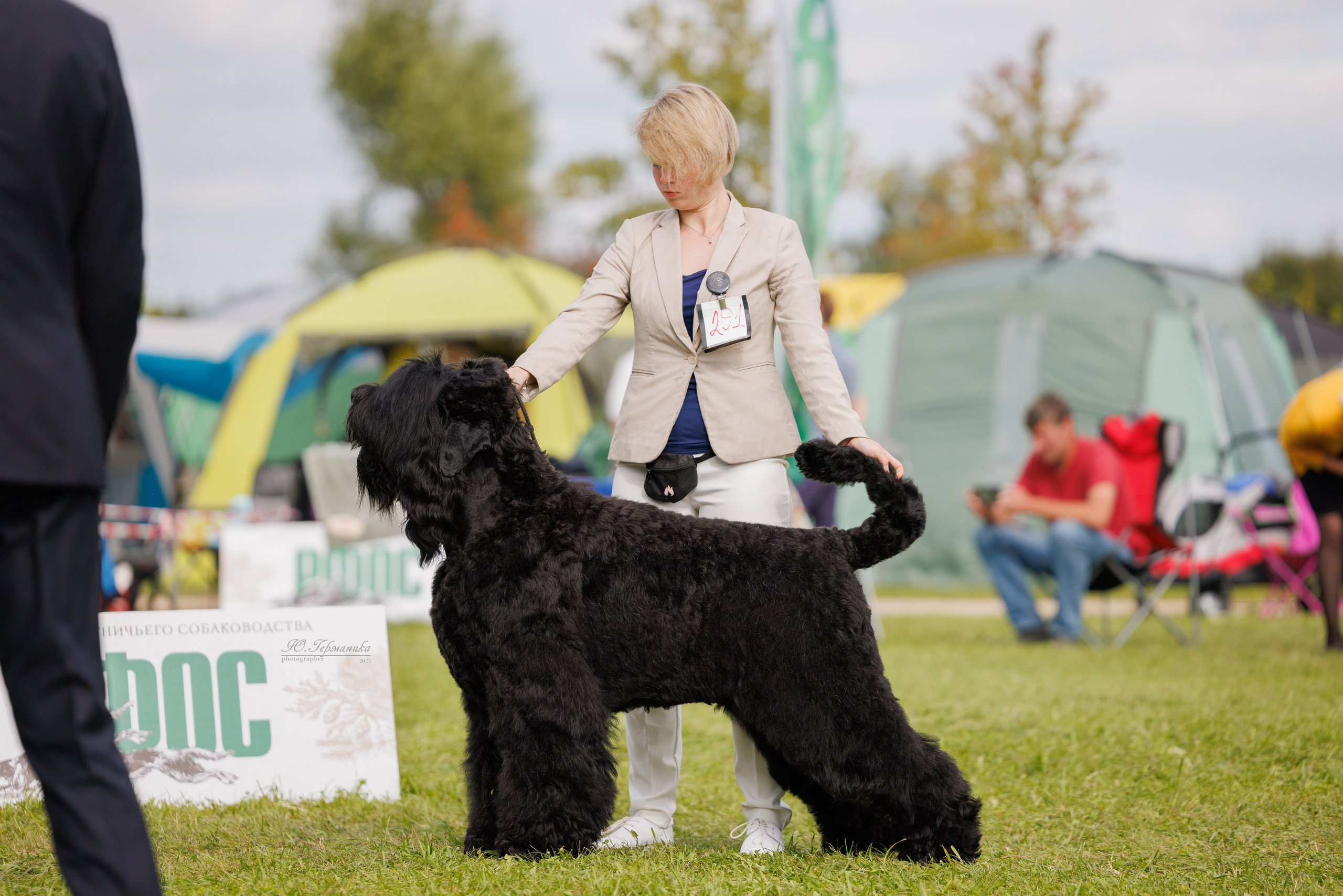 Переславль 5-7.08.2025. Фотограф-анималист Юлия Германика