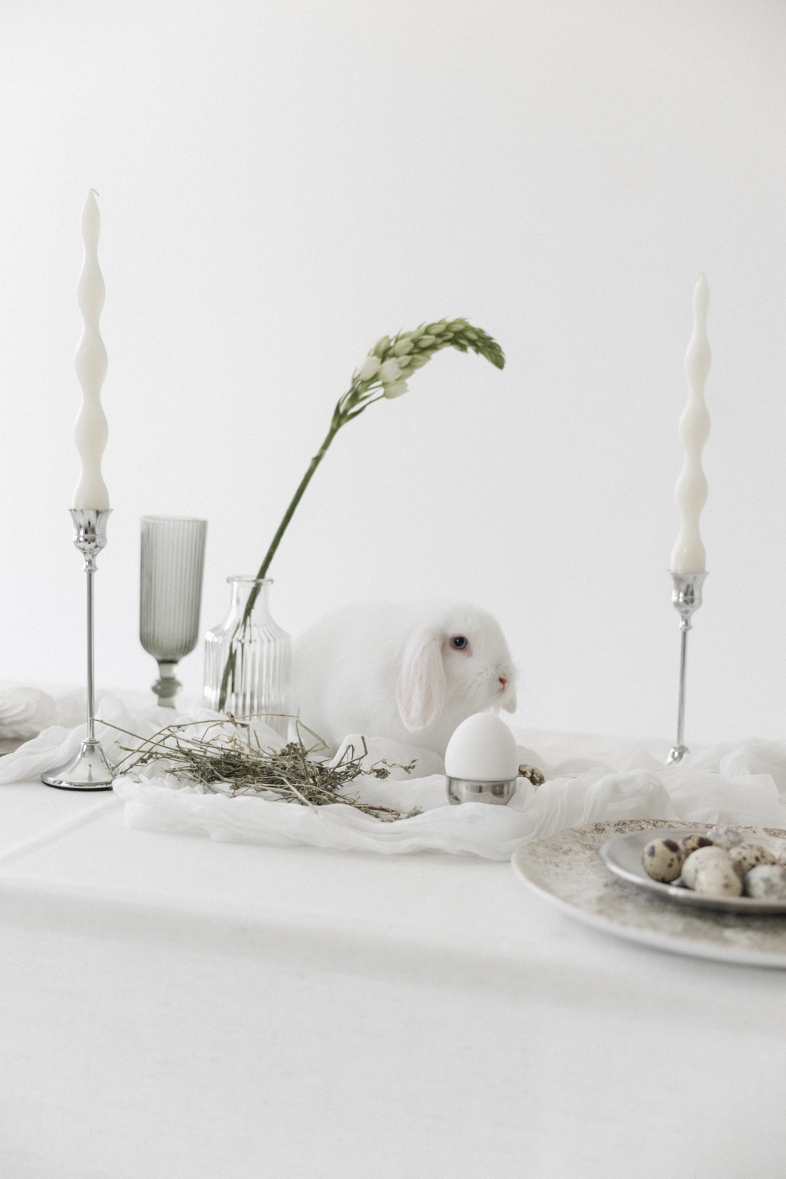 Творческая съемка к Пасхе с кроликом. Главная