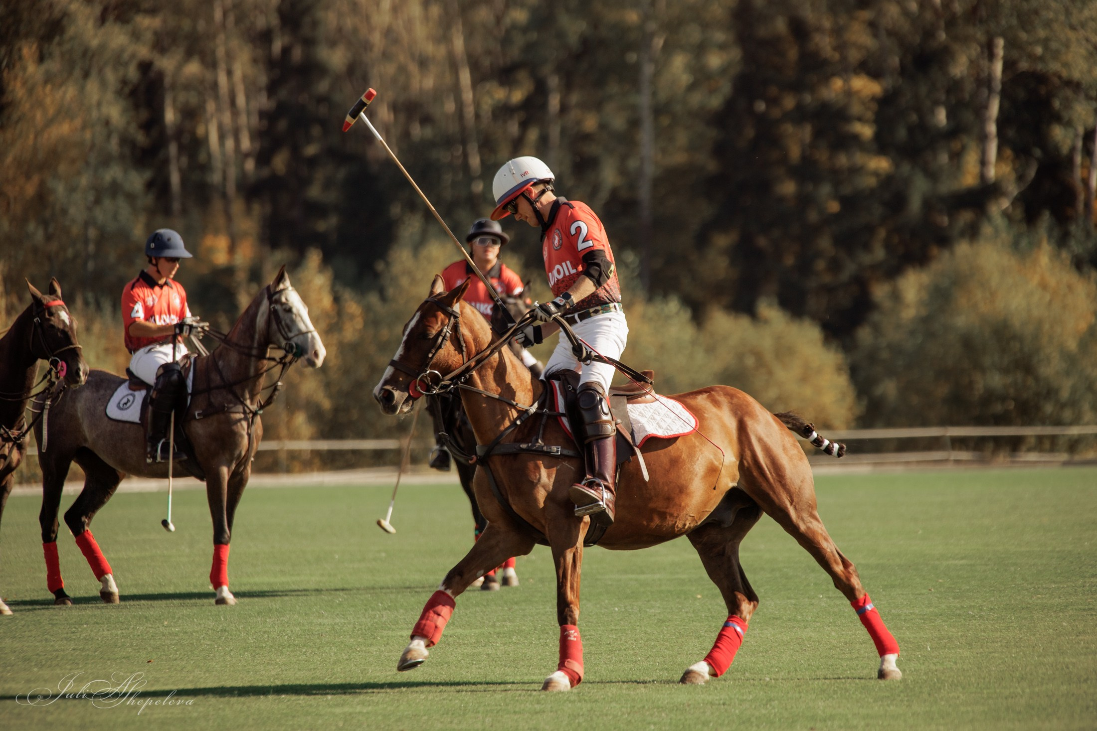 Осенний кубок по конному поло. Детская Конная фотография в Москве Юлия Шепелева