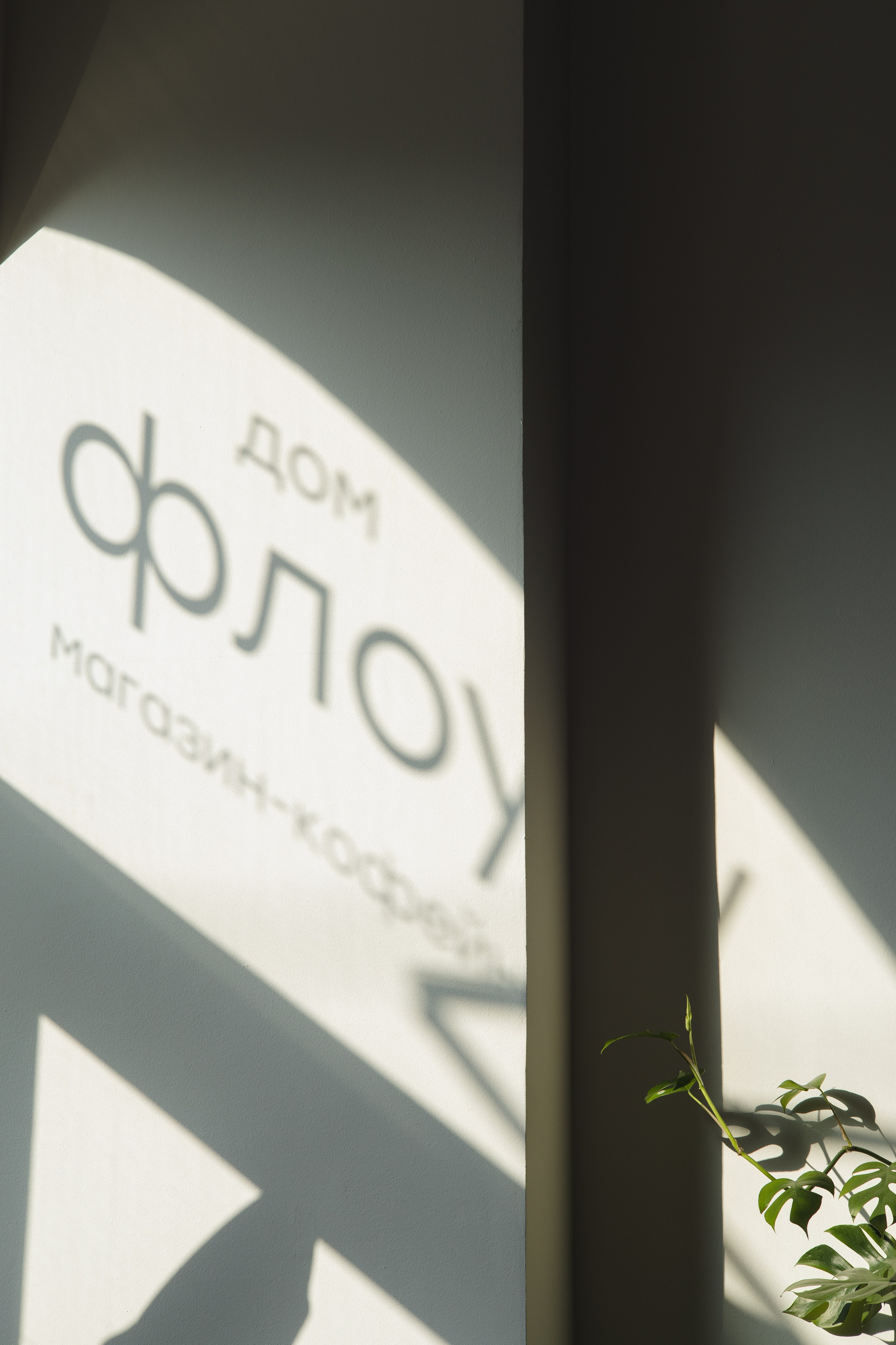 Дом Флоу (кофейня). Фотограф в Санкт-Петербурге Осокина Елизавета