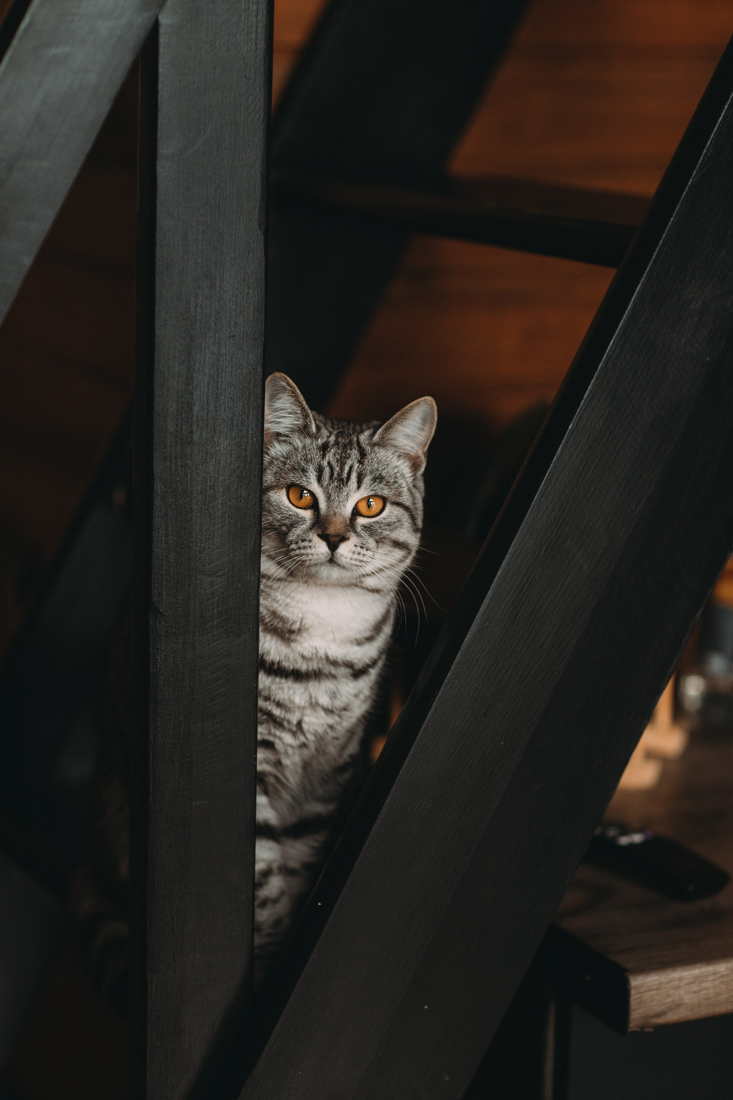 Треугольный домик. Главная