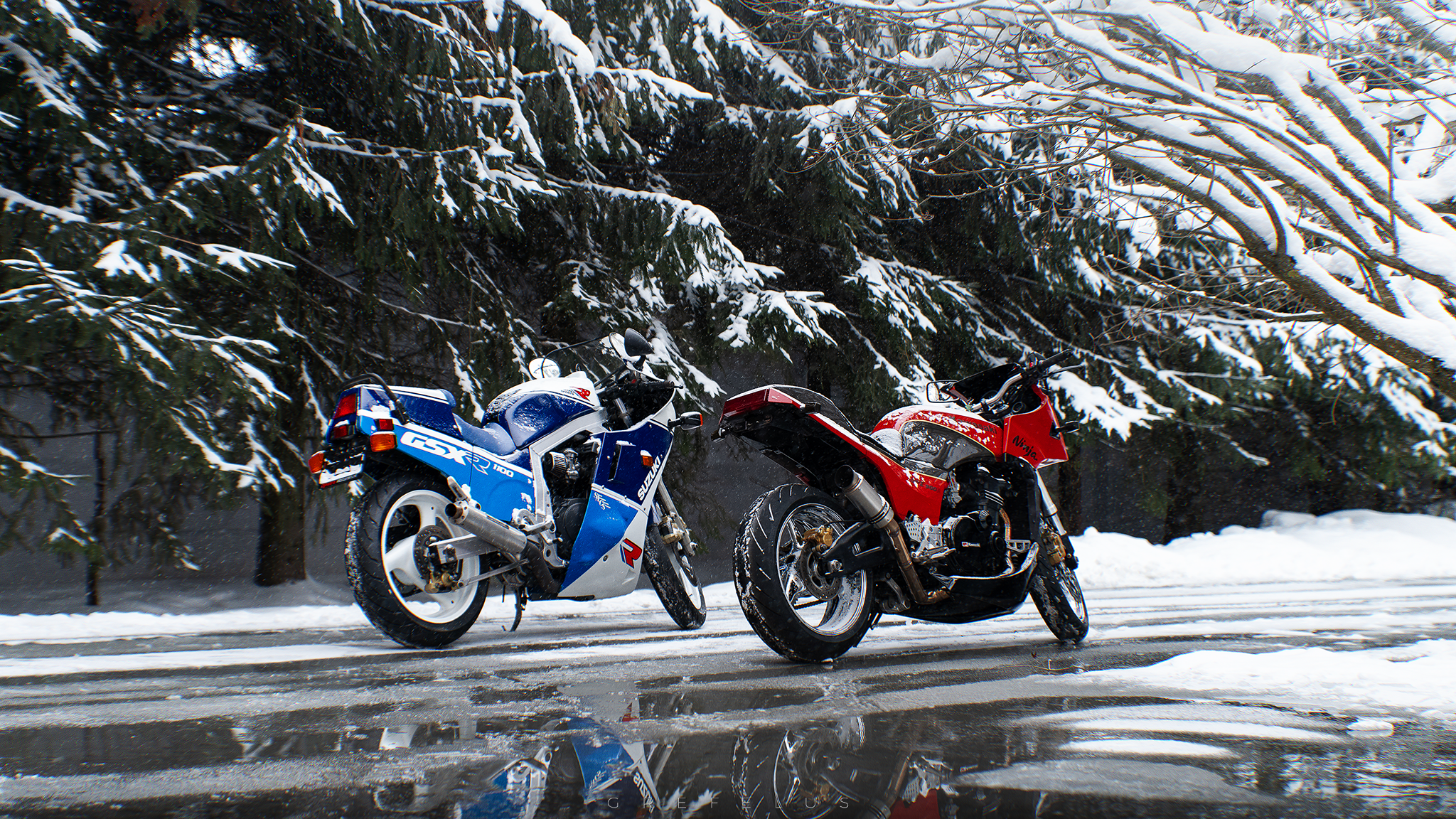 Suzuki GSXR 1100 // Suzuki GSXR 1100