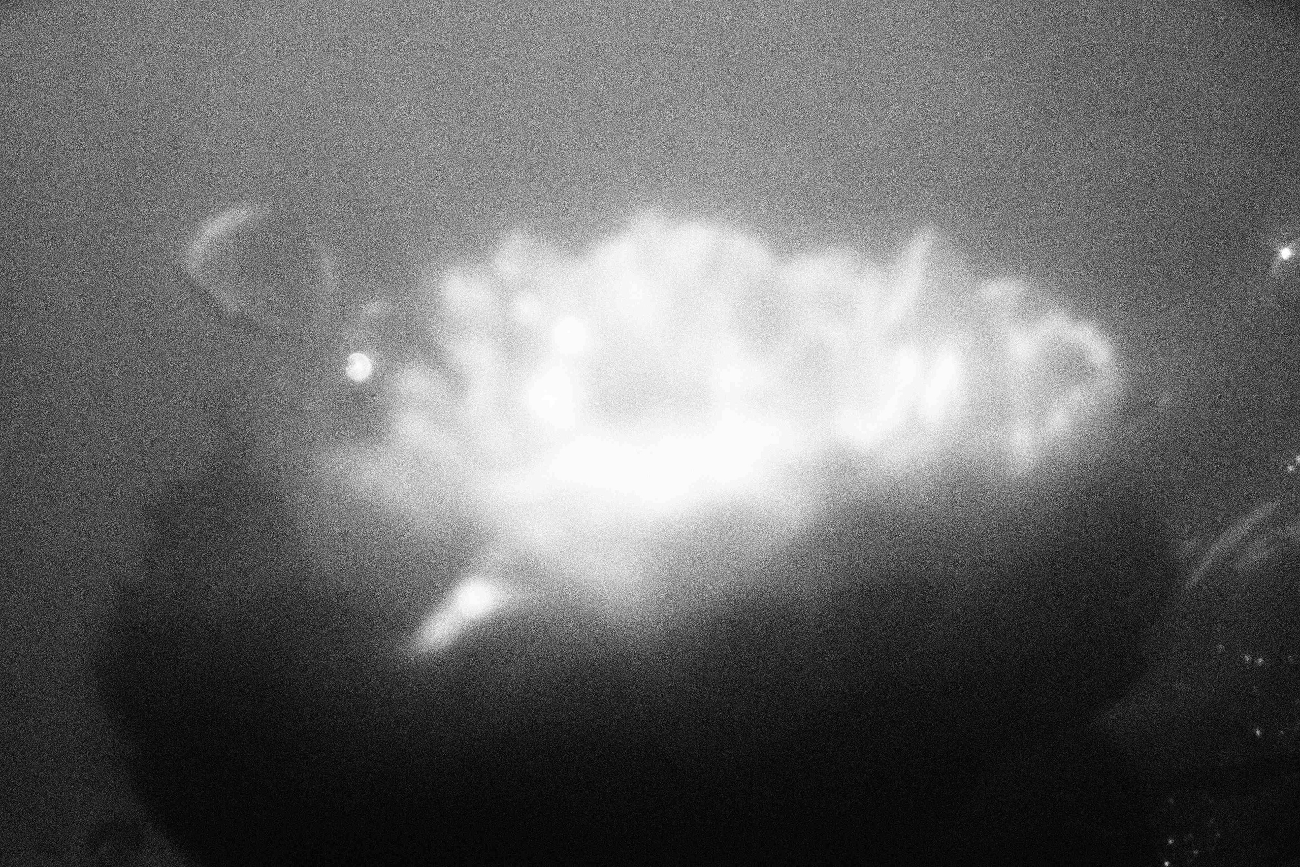 «Видеть. Чувствовать. Сохранять»