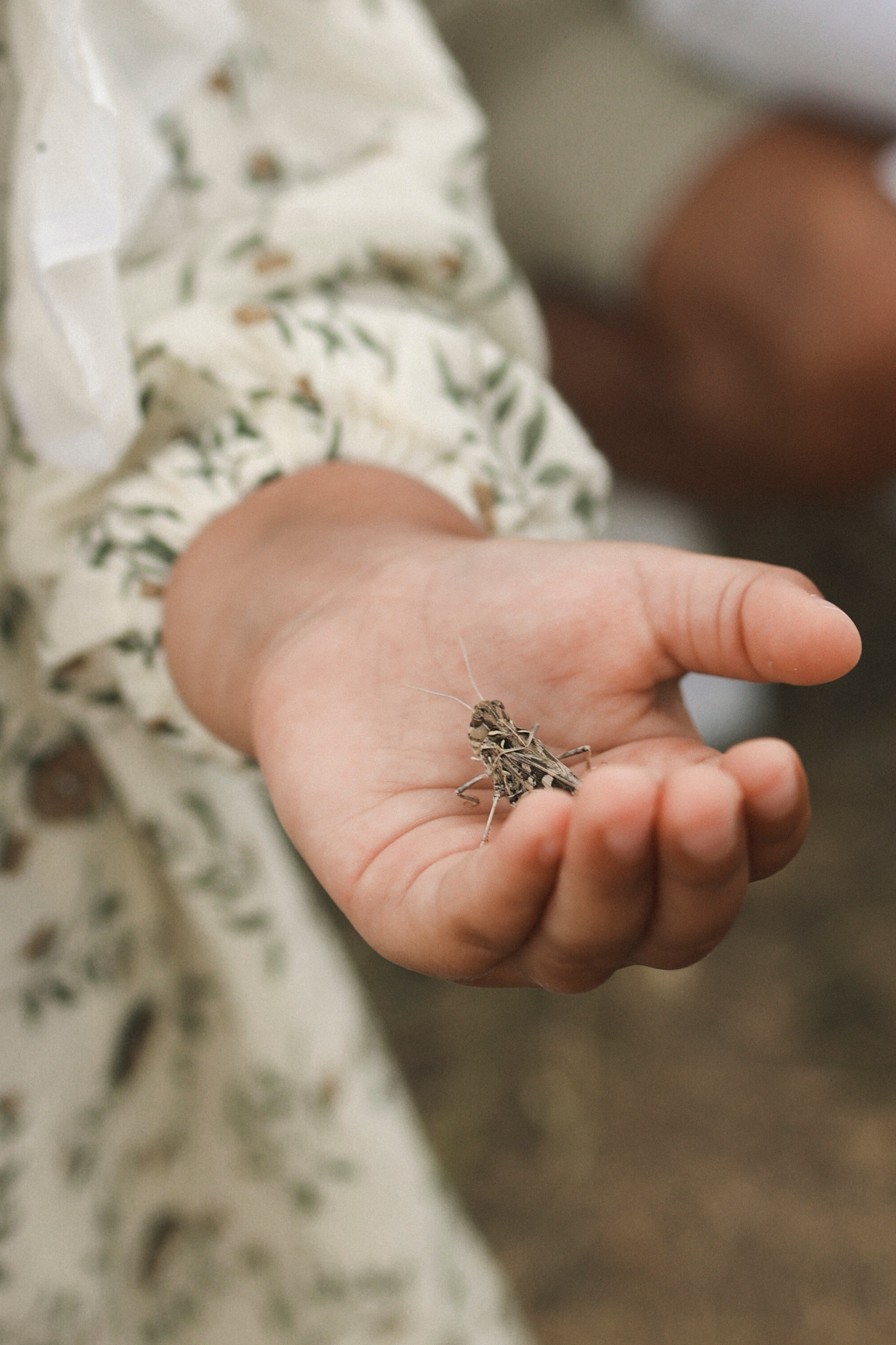 Пойдем, словлю тебе кузнечика. Свадебный и портретный фотограф. Видеограф на Свадьбу. Севастополь, Ялта, Симферополь, Крым