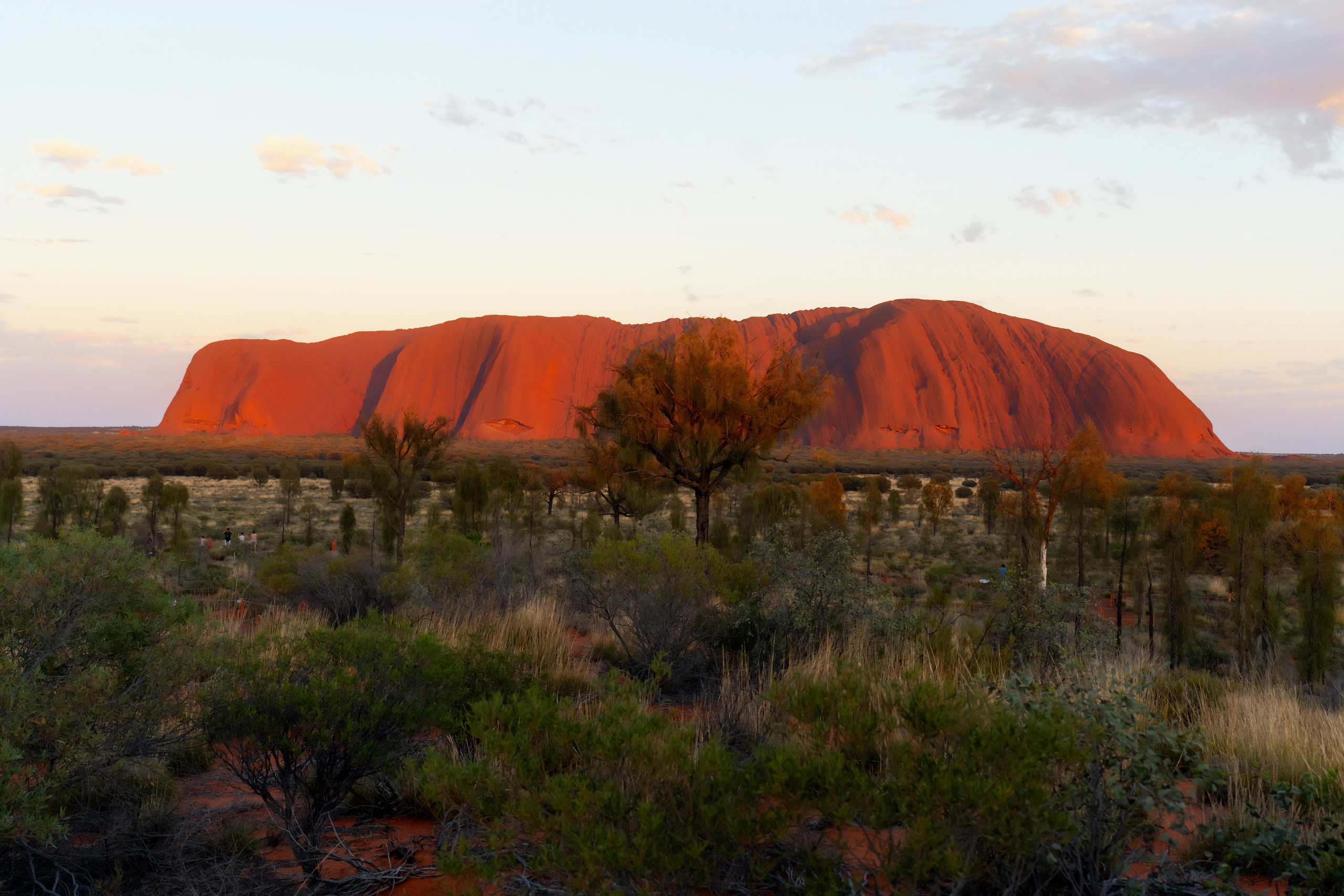 Австралия. Фотограф в Хабаровске. Фотография за 24 часа