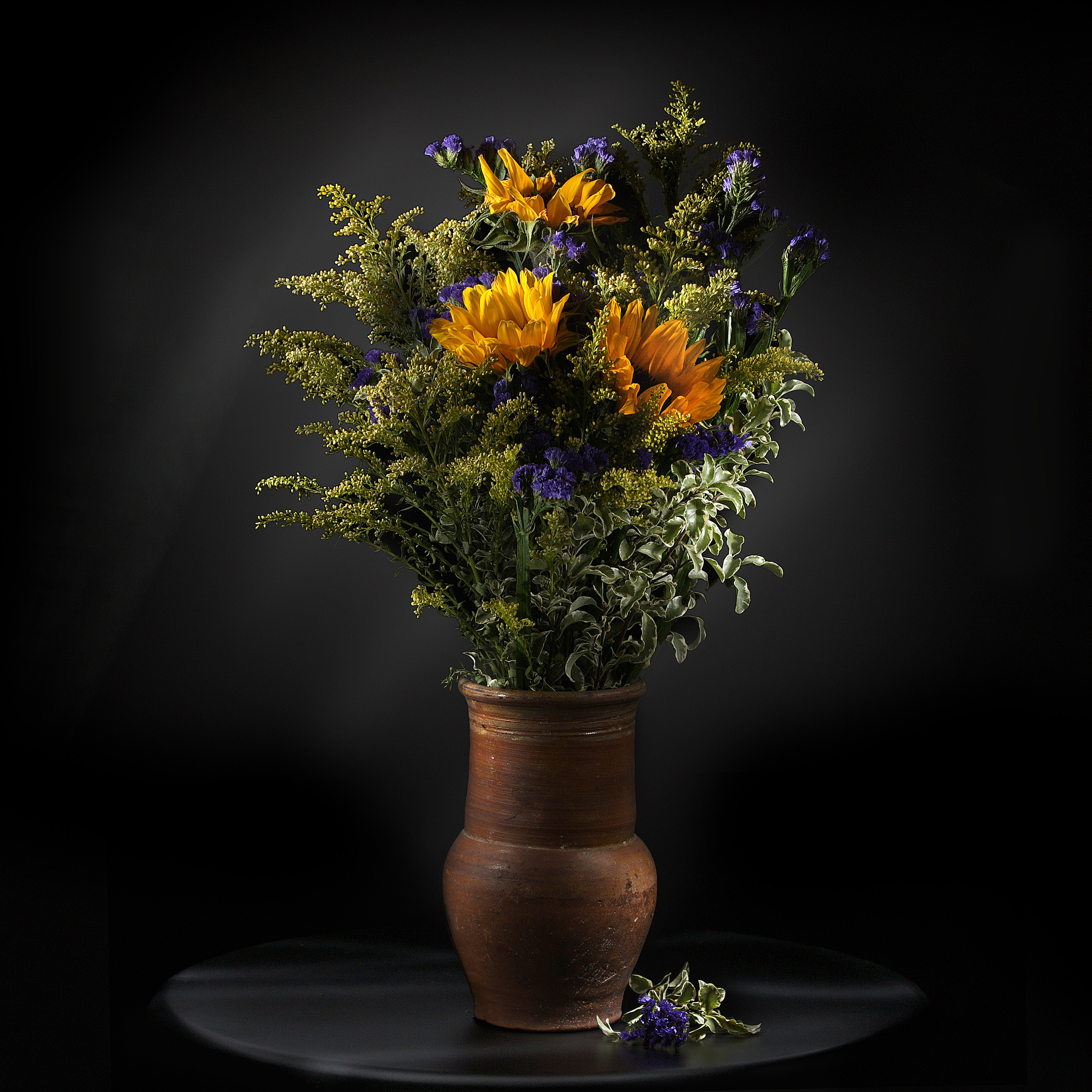 Цветы. Фотограф Мария Кольцова