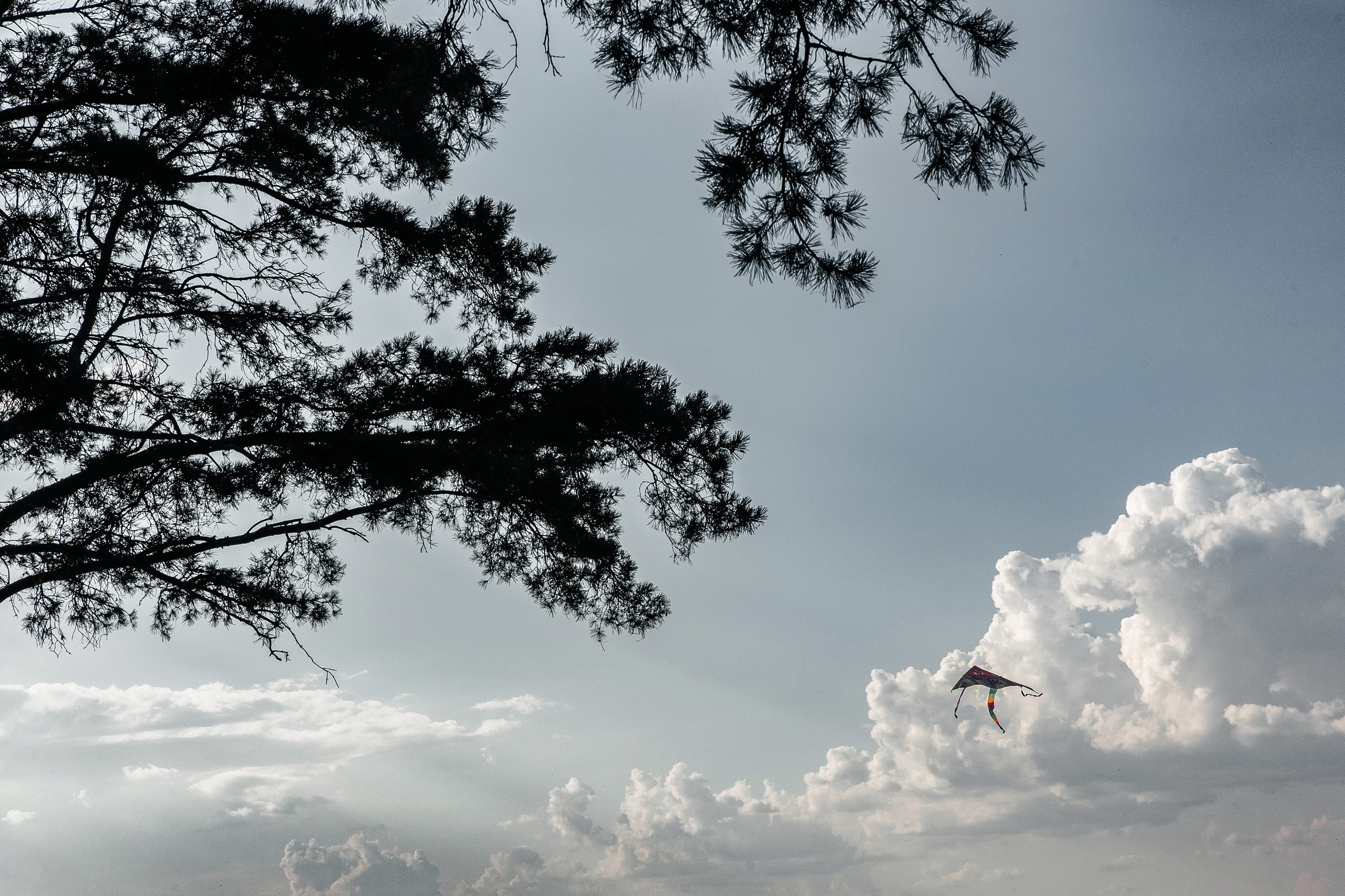 Здравствуйте! Я&nbsp;свадебный фотограф из&nbsp;Ульяновска, работаю в&nbsp;том числе по&nbsp;всей России и&nbsp;с&nbsp;выездом за&nbsp;границу. Снимаю свадьбы, lovestory, корпоративы, светский репортаж. Провожу обучение по&nbsp;фотографии, мастер-классы и&nbsp;воркшопы для других фотографов.