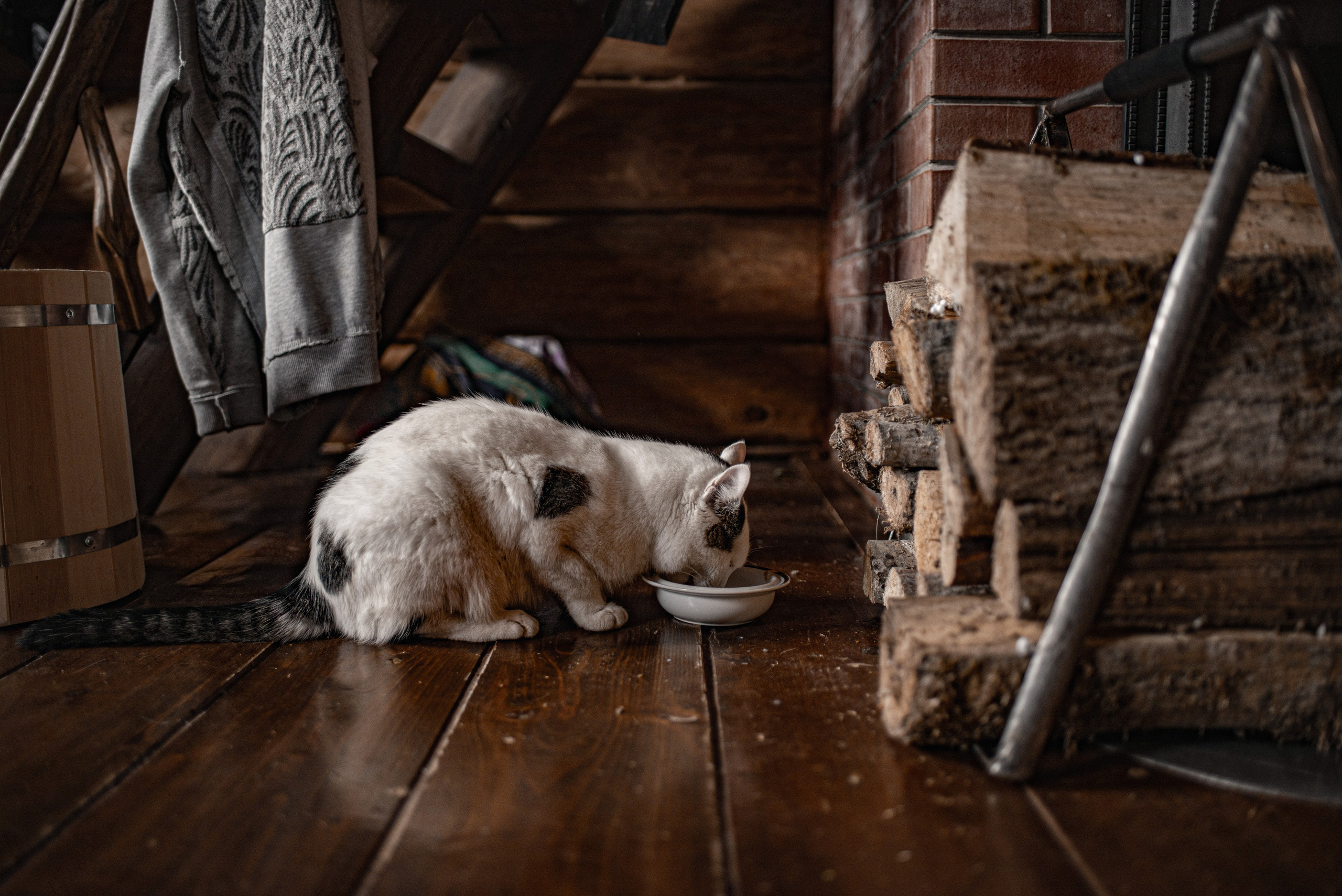 Люди. Семейный фотограф Псков. Спб.|Анастасия Войналович