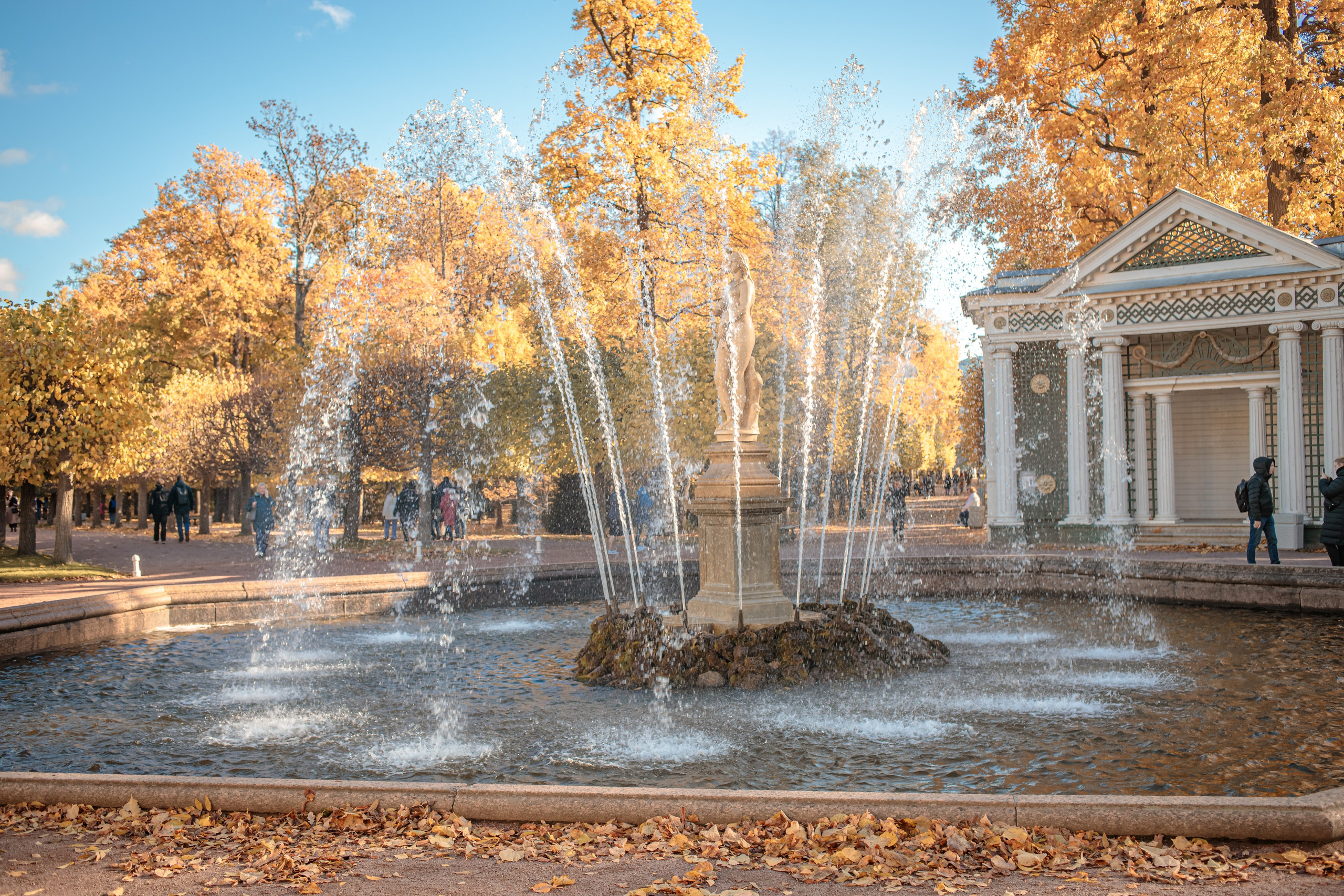 Петергоф нижний парк фото