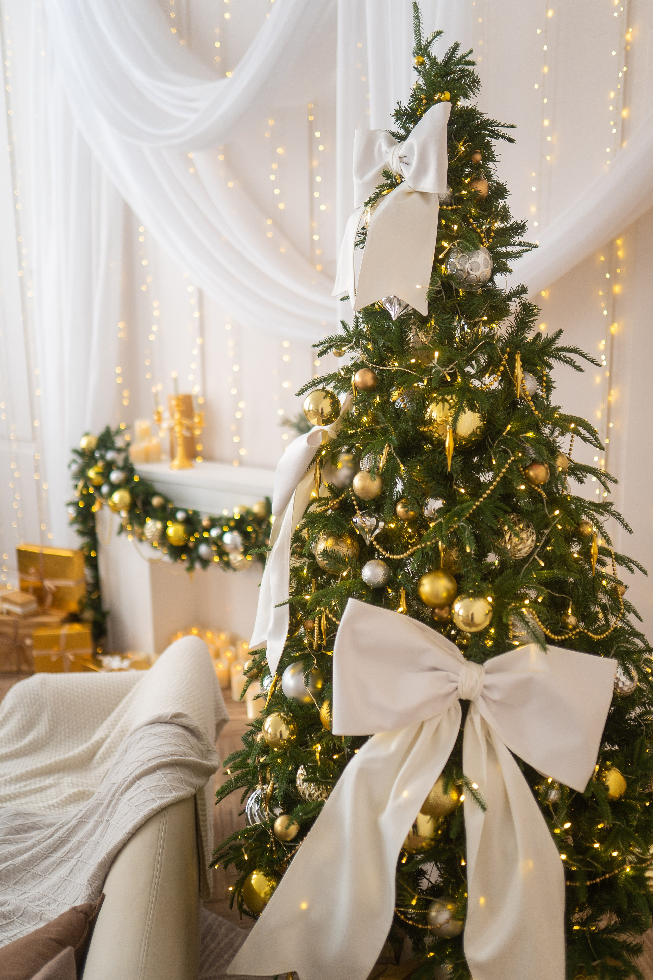 Зал Белый. Фотограф г. Хабаровск. Семейные и индивидуальные съёмки