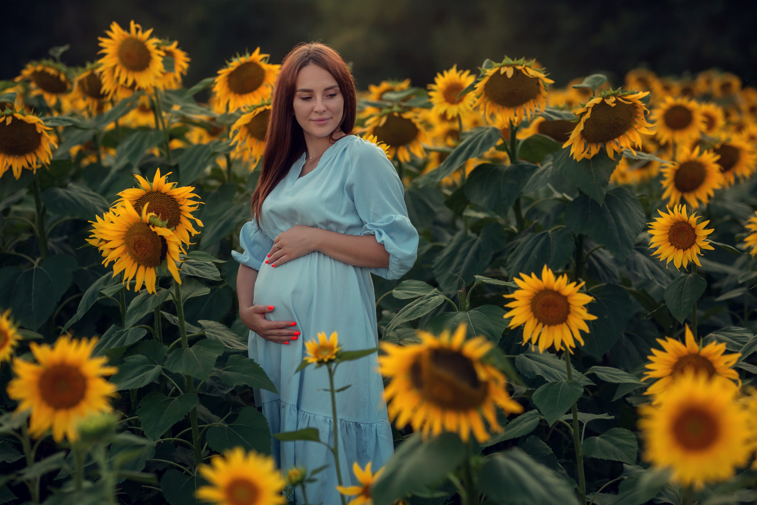 Подсолнухи. Семейный и детский фотограф Екатерина Савёлова