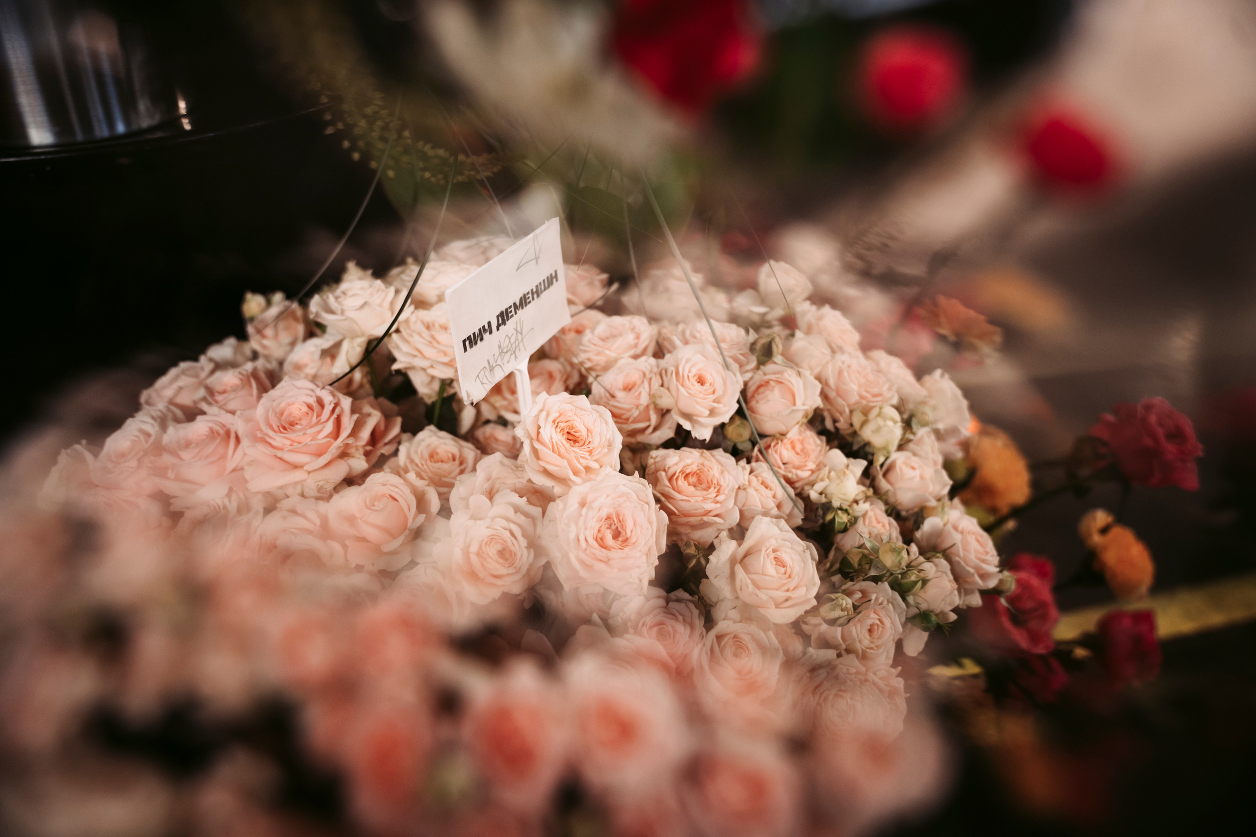 Цветочный андеграунд. Главная