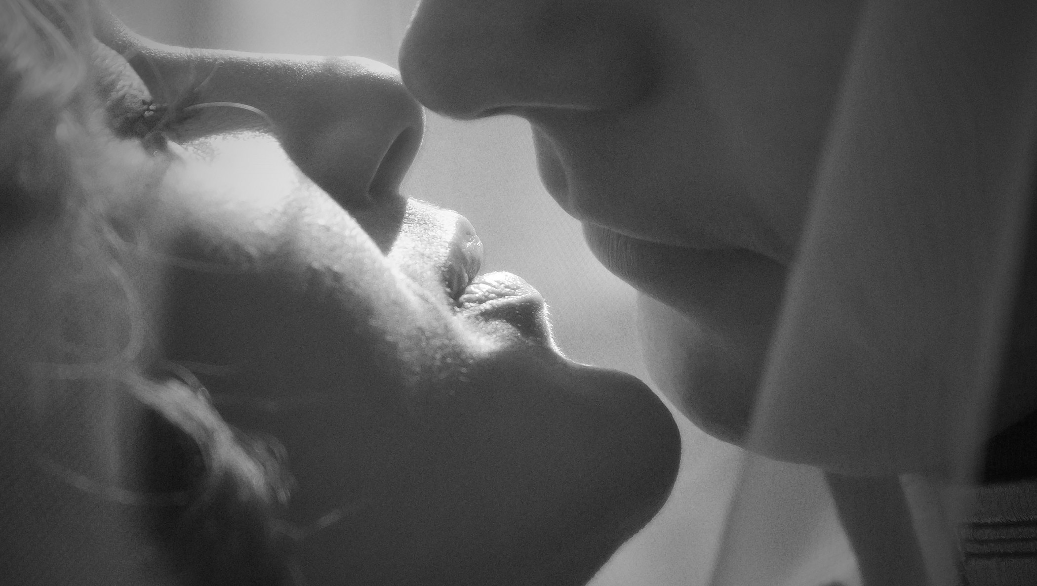 черно белое фото где жених целует невесту крупный план