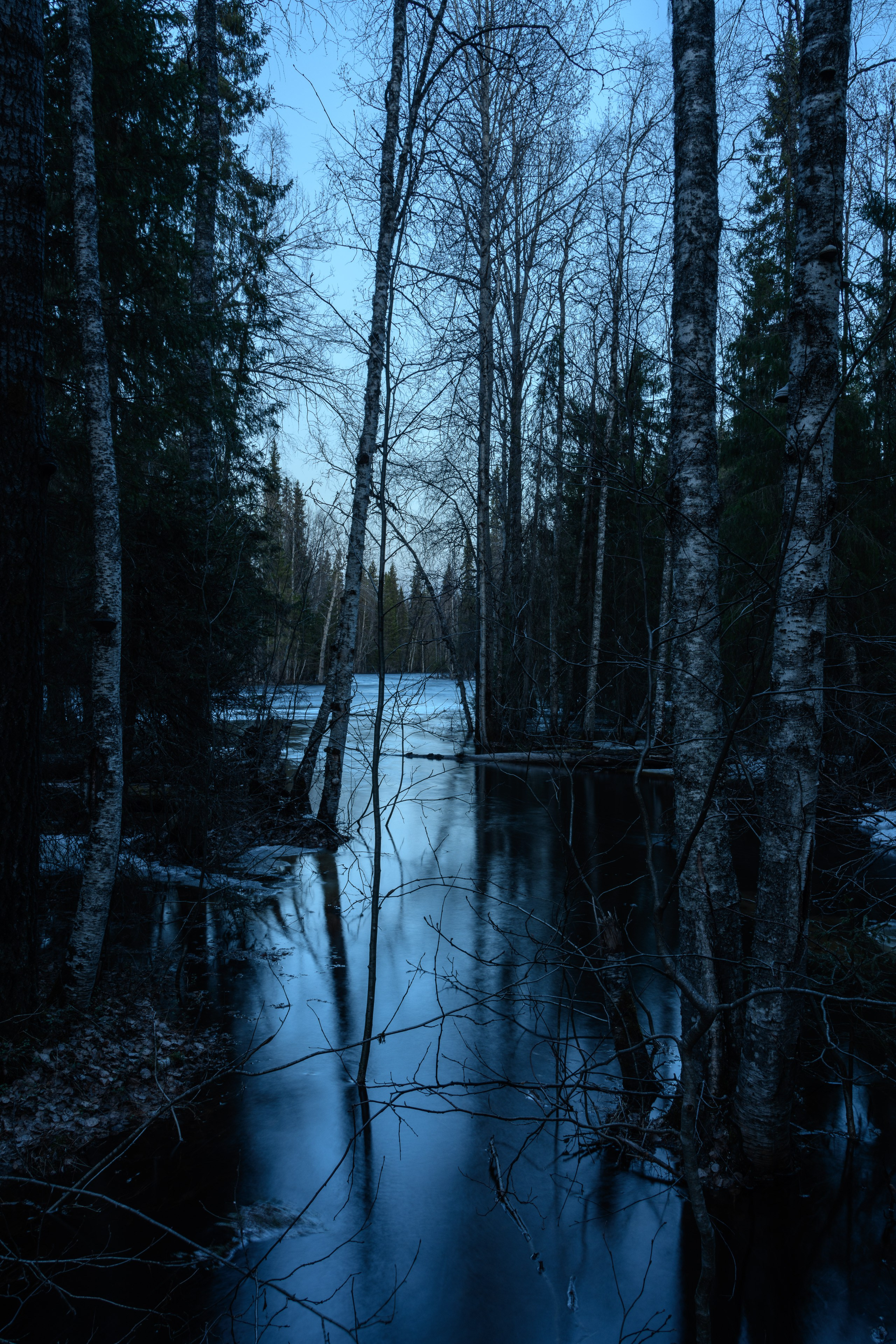 Весна. Северные Ночи