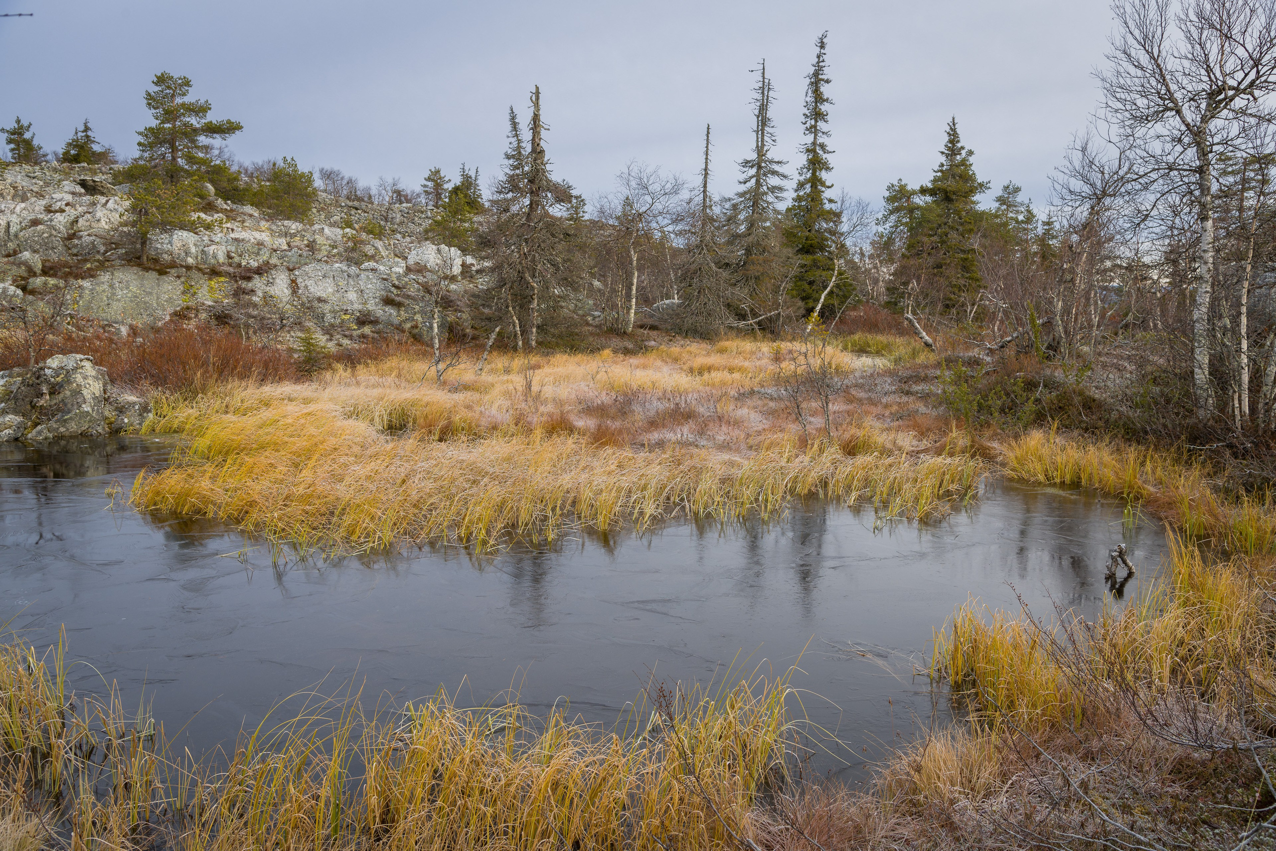 Осень. Северные Ночи