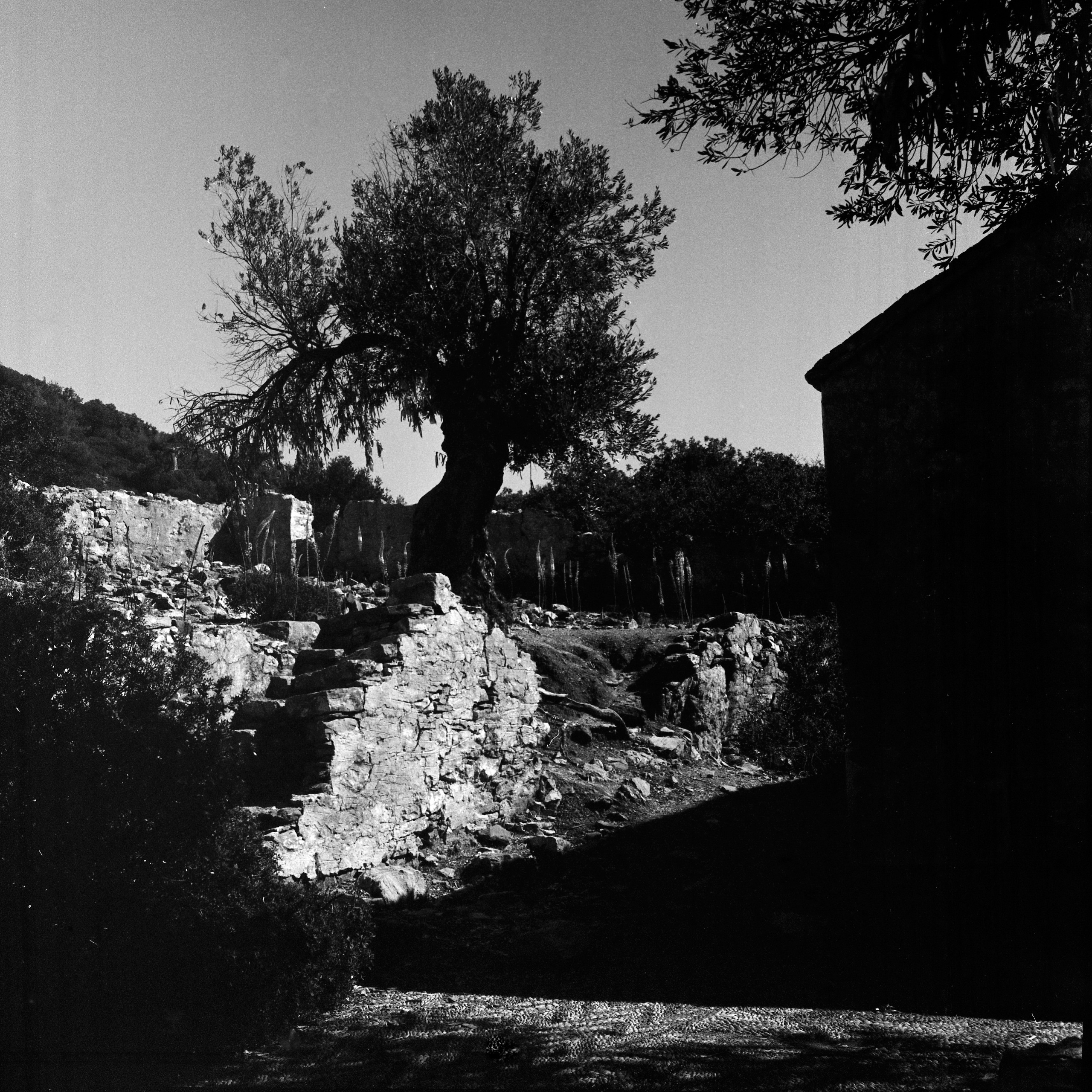 Турция, Разные Регионы. Елена Никитина. Фотохудожник. Пленочная фотография. Принты