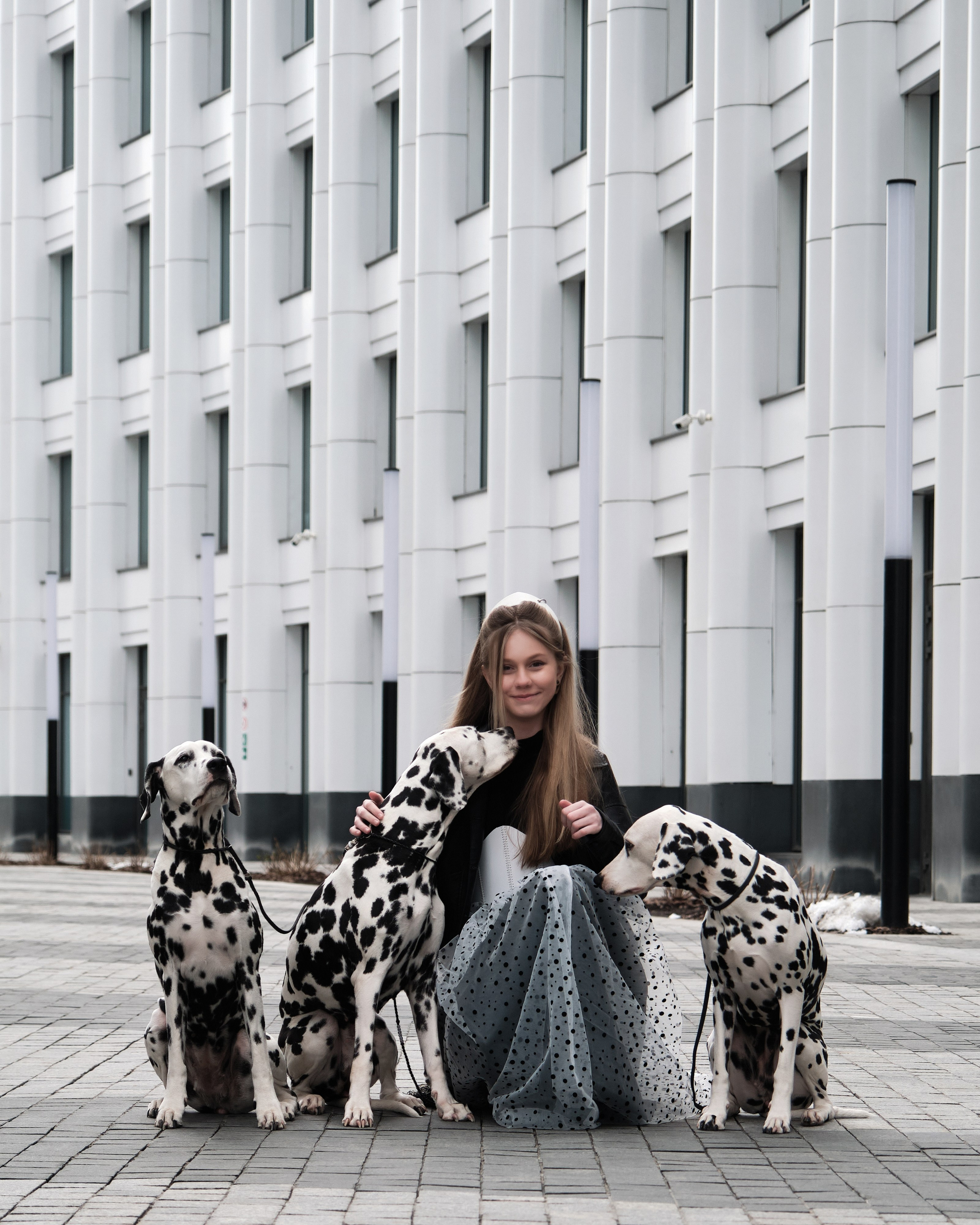 фотопроект с далматинами в Москве фотограф Виктория Колышева