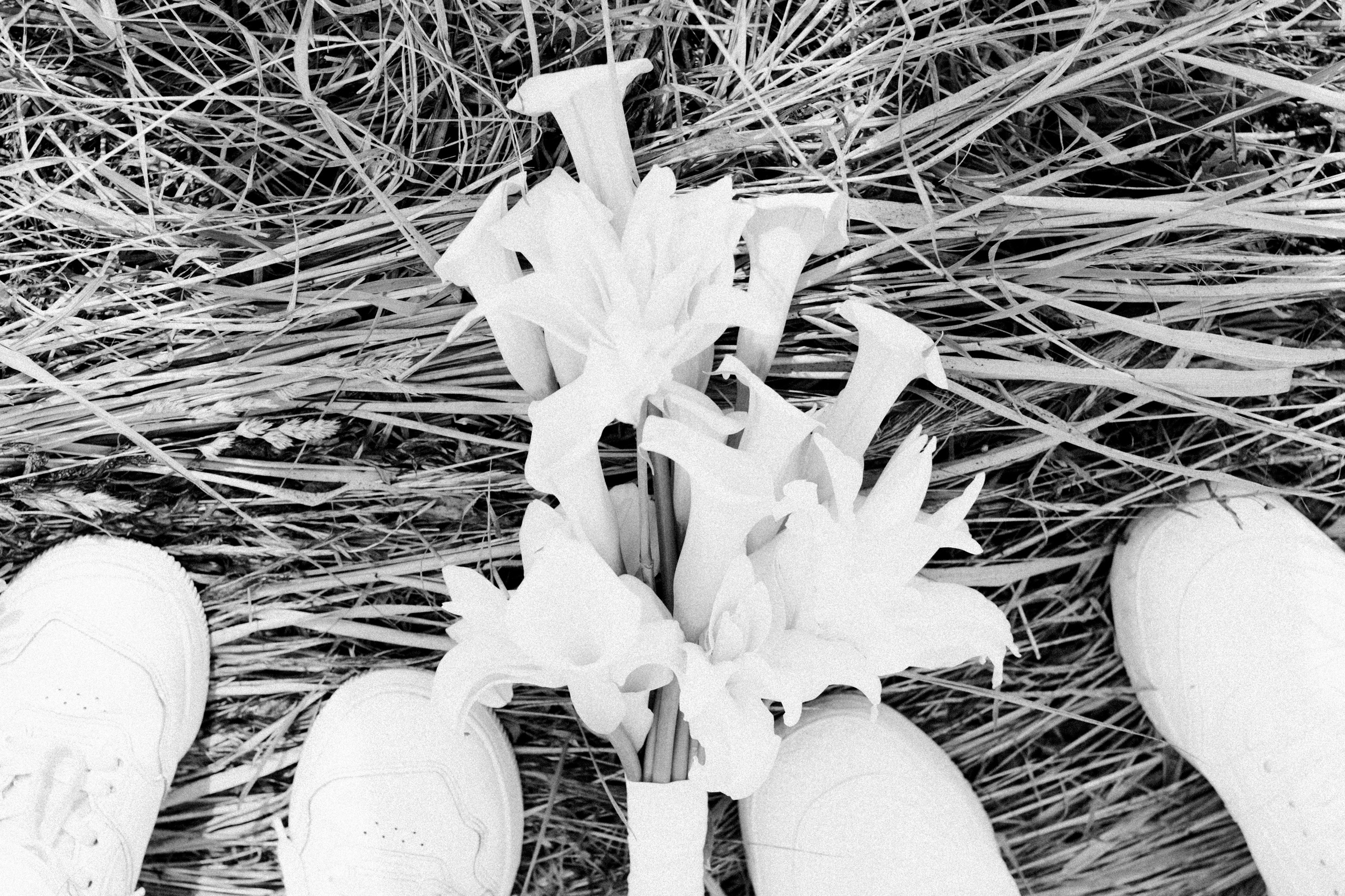 Алина и Николай. Репортажный и портретный фотограф во Владимире Сергей Кравцов