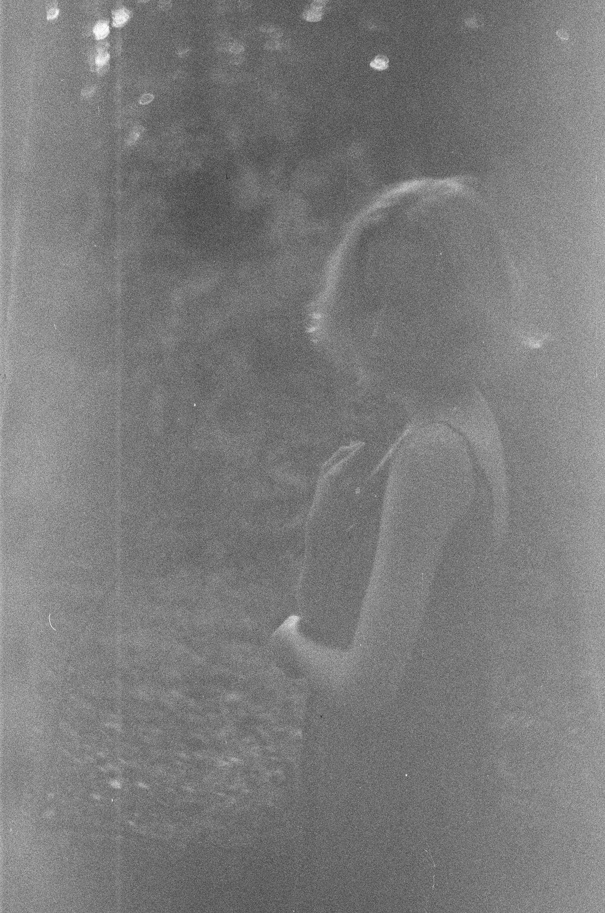 Настя. Творческий фотограф в Москве Наталья Ермолова