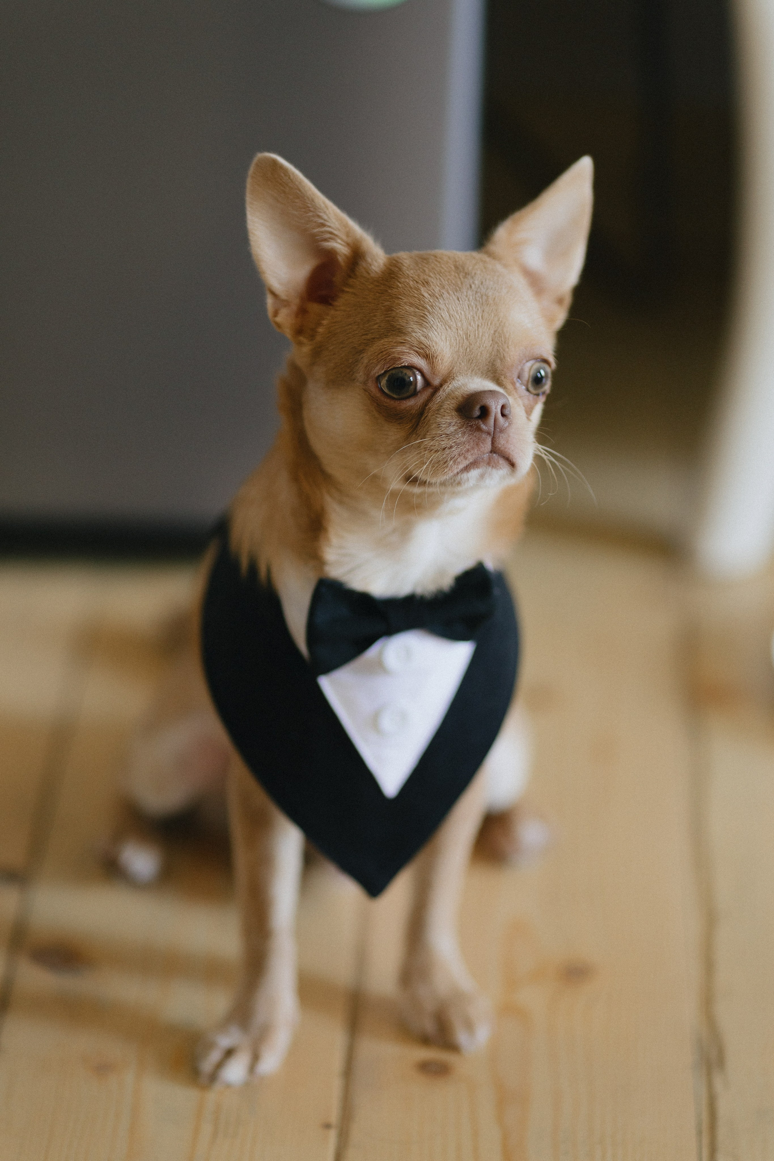 Даша Дима. Свадебный и репортажный фотограф Новороссийск, Краснодар, Сочи Олеся Дзюба