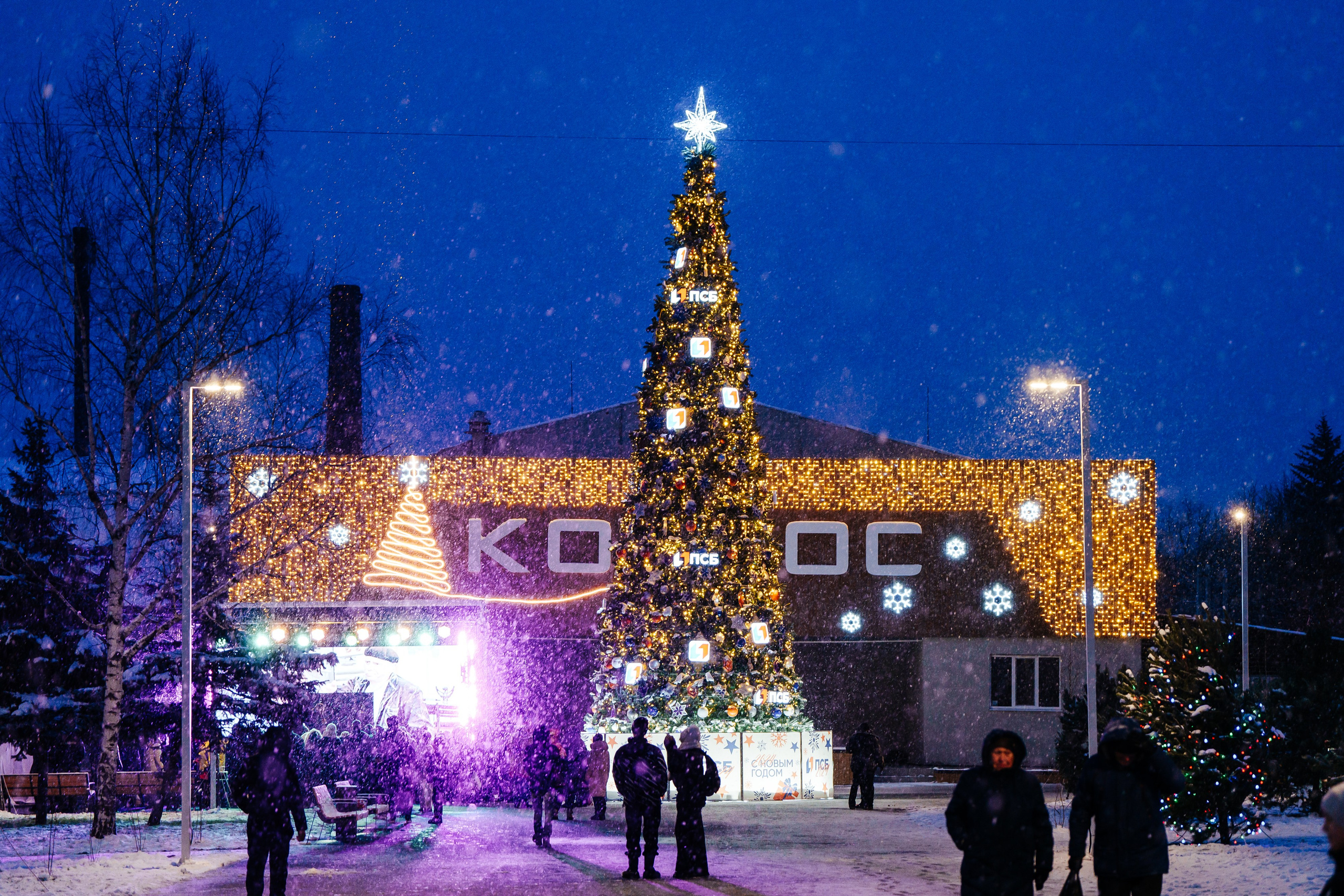 Открытие парка в Луганске. Студия событий ДЕЙЗИ. Организация мероприятий. Свадебное агентство в Ростове-на-Дону. Свадебный организатор. Организация свадьбы под ключ