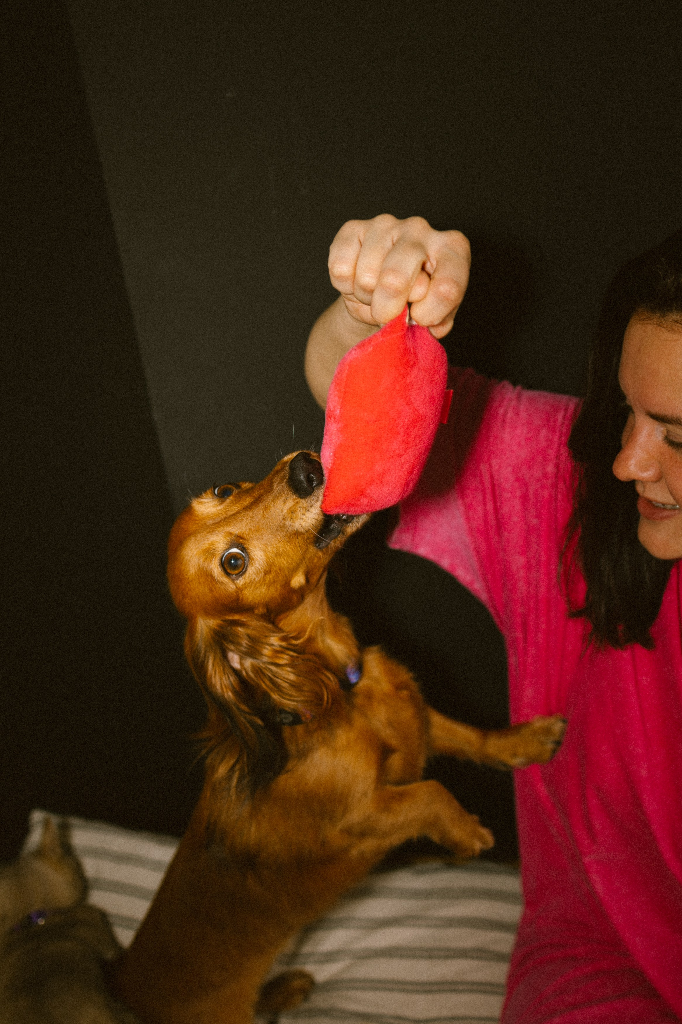 Марина, Липа, Бейлиз. Главная