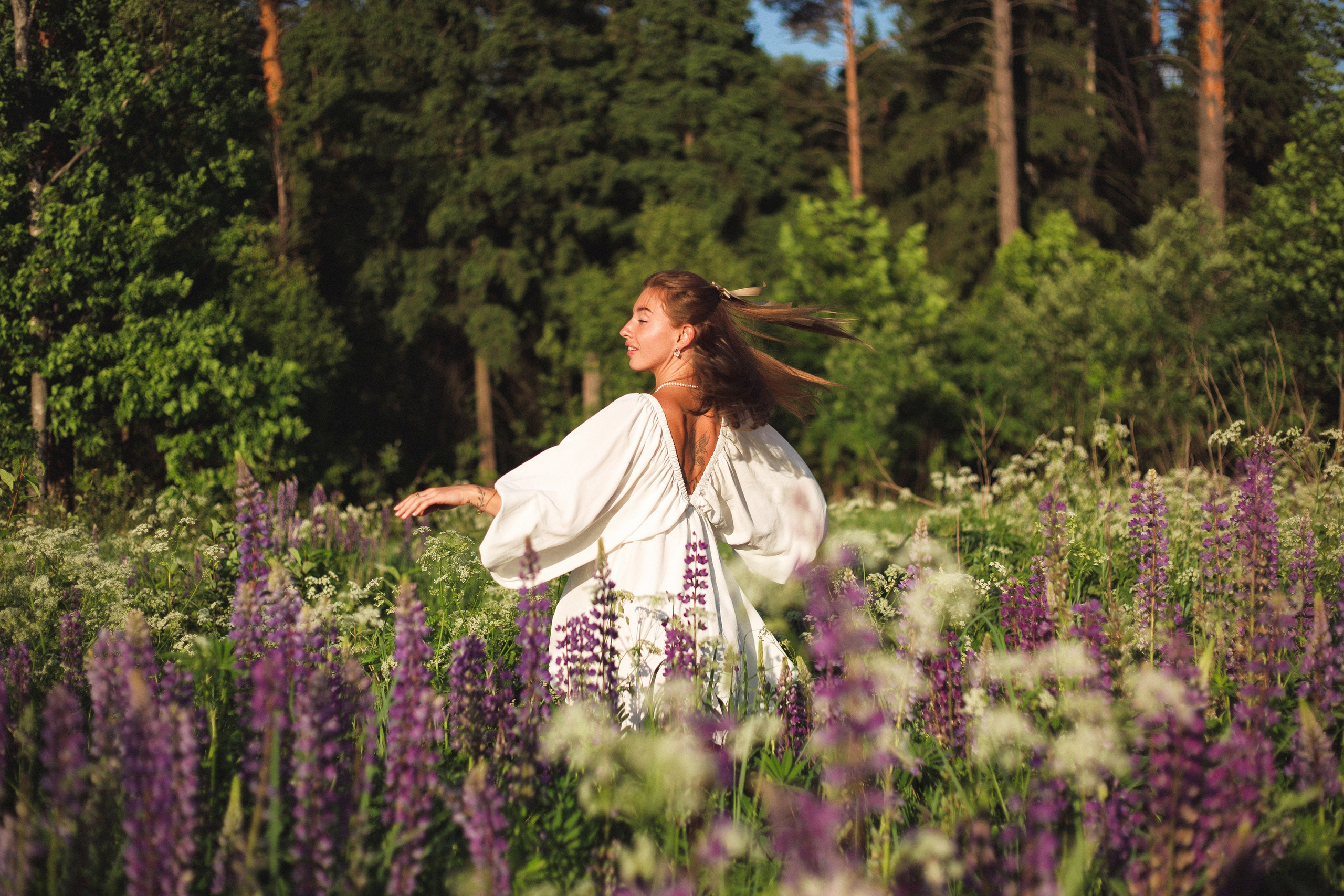 Люпины. Фотограф Москва / Балашиха