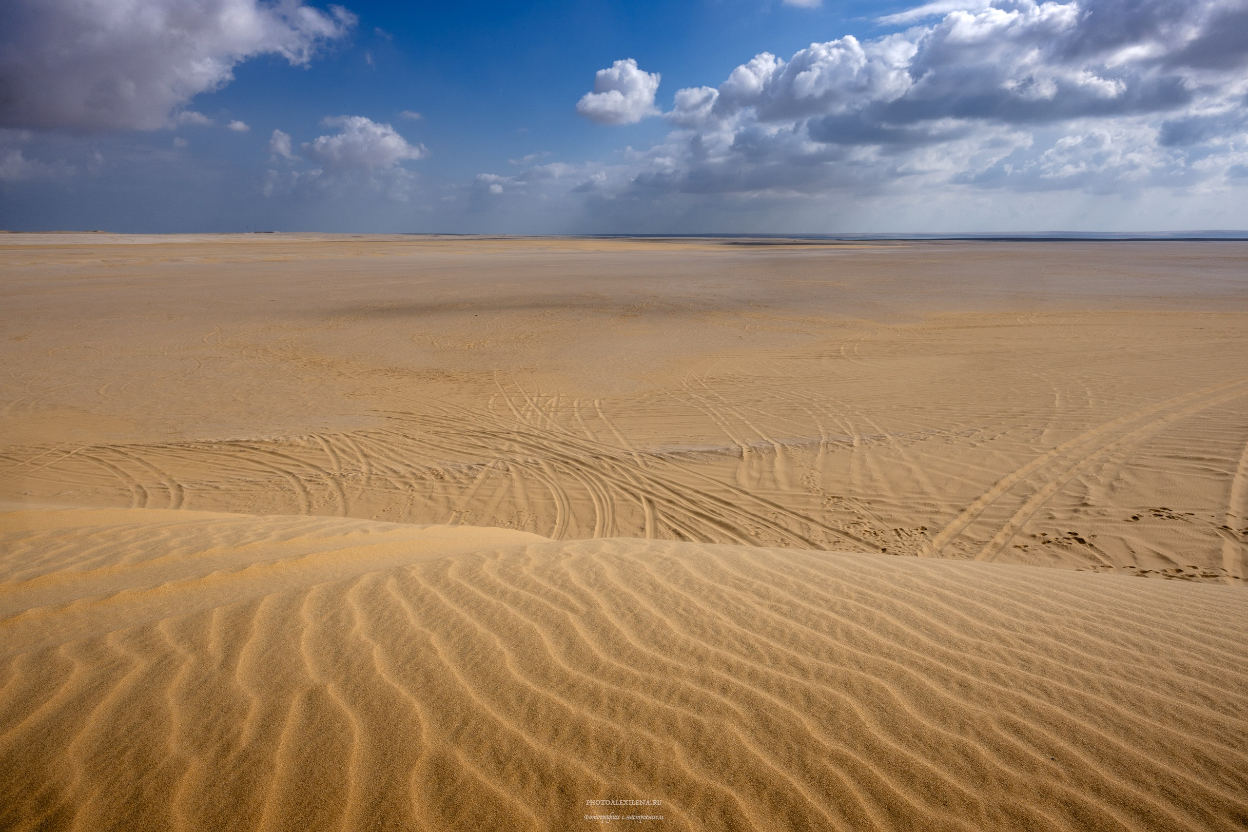 Снова в пустыню, за скелетами…. Авторские стильные фотокартины