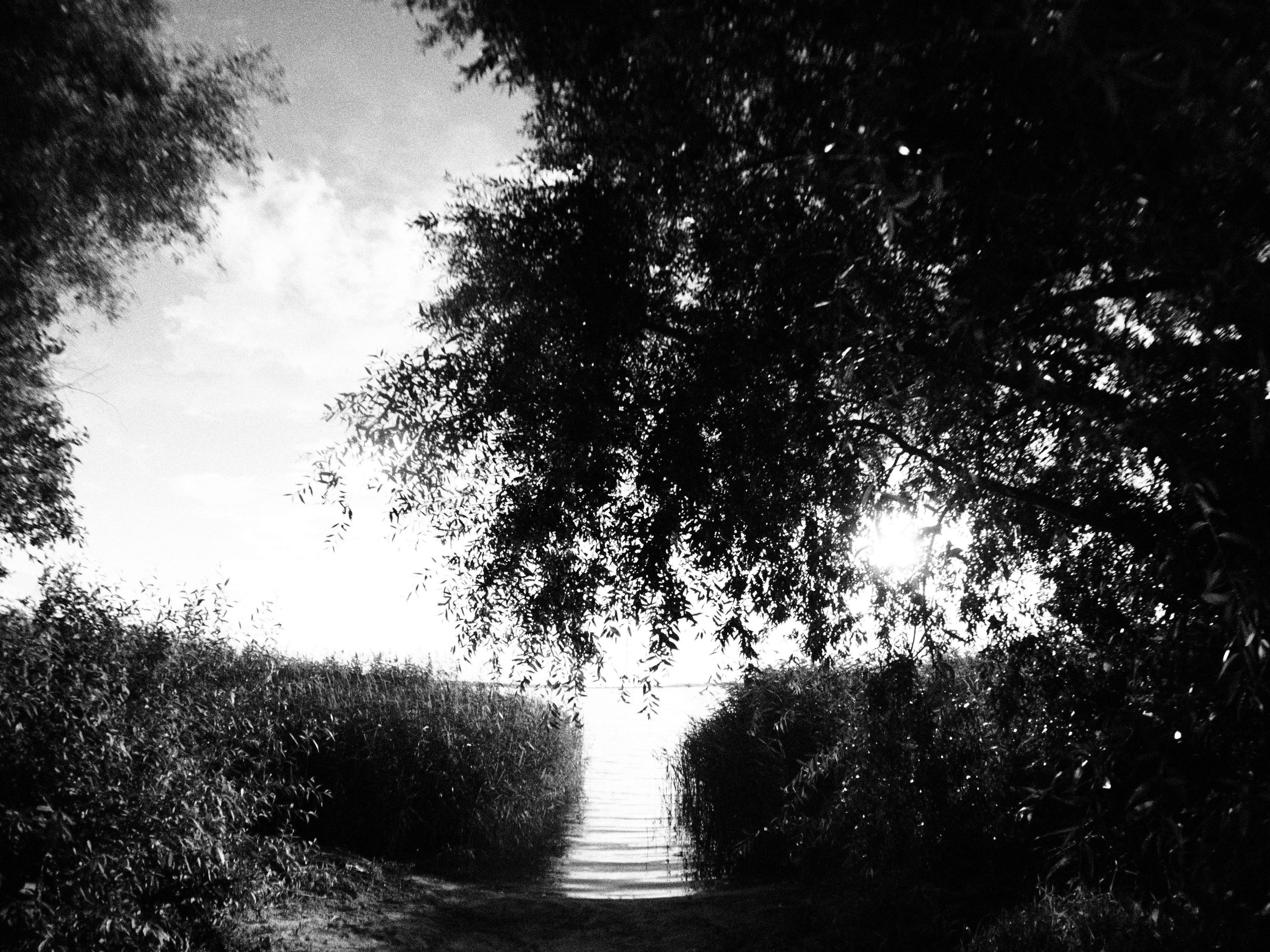 Промежуточные моменты (2023)