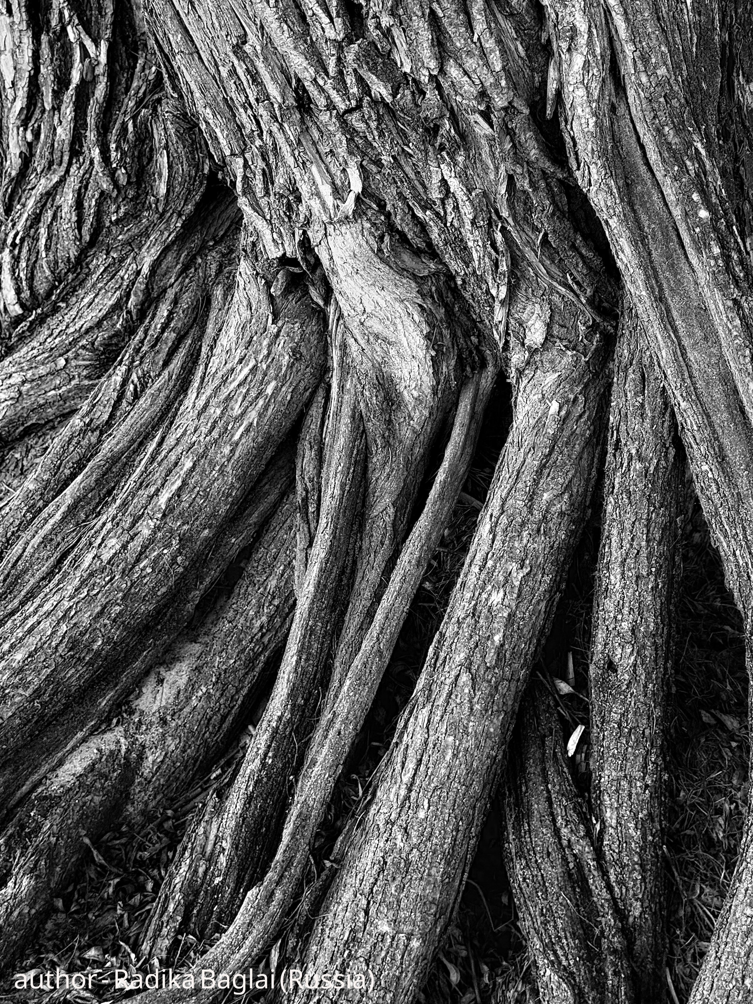 Gallery. UNUSUAL TALENT magazine