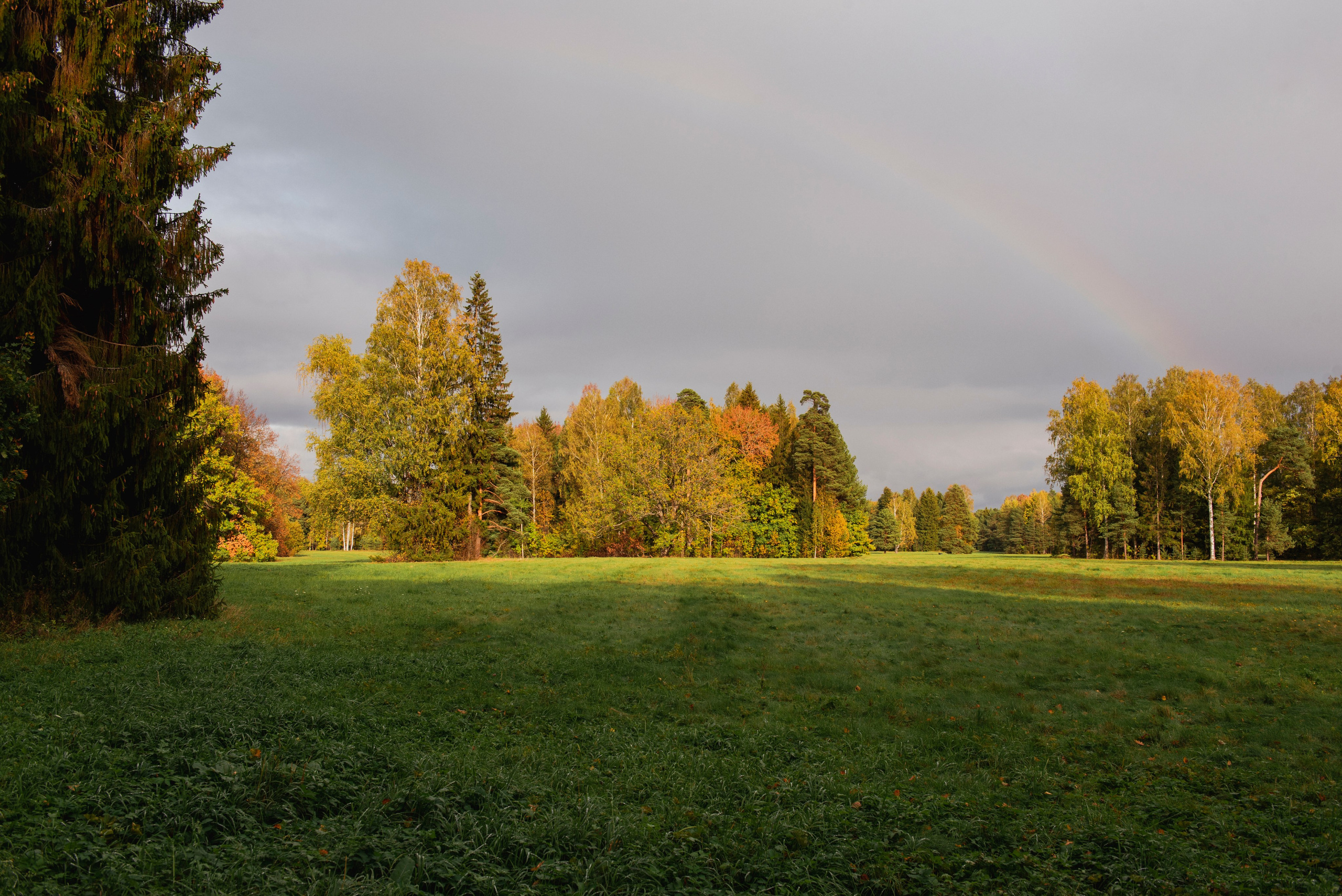 Павловский парк. Портретный и архитектурный фотограф в Москве и Санкт-Петербурге